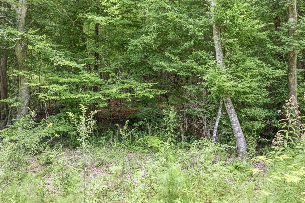 1292 Harbert Valley Road