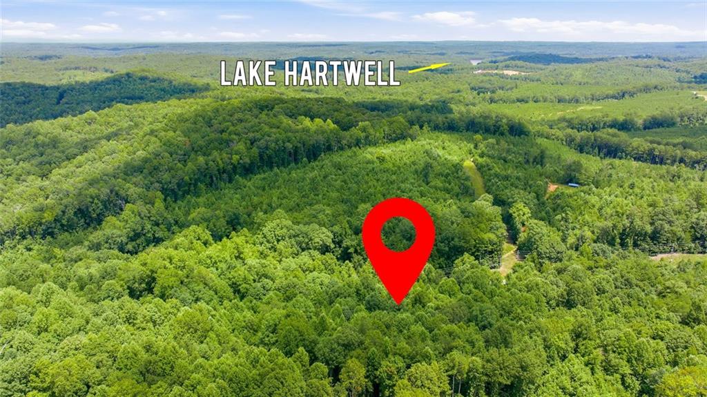1292 Harbert Valley Road