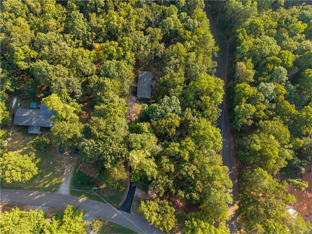 81 Cherokee Trail