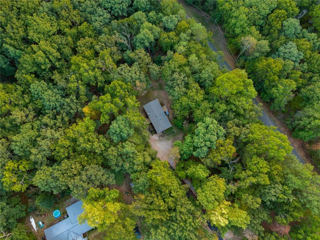 81 Cherokee Trail