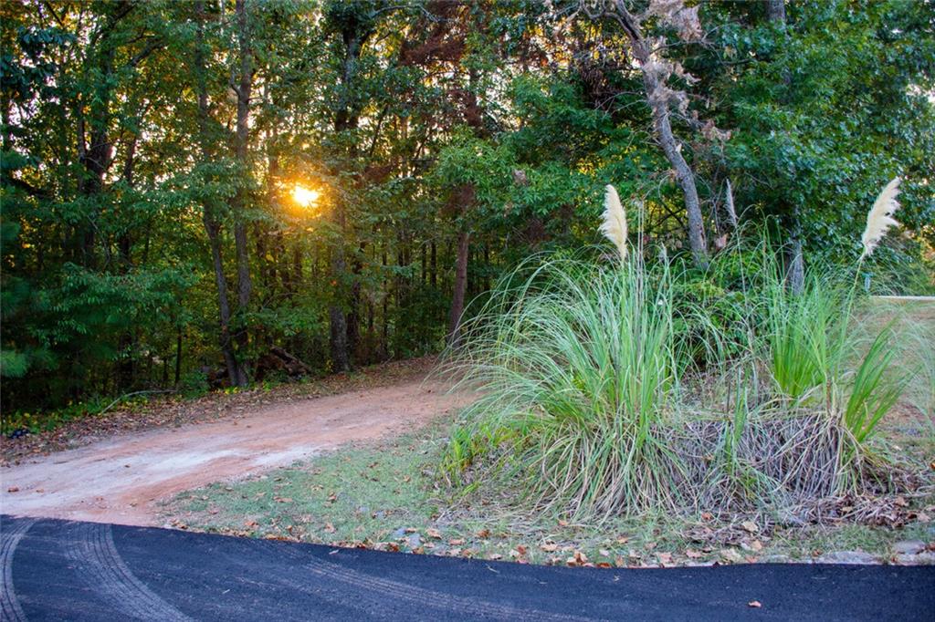 81 Cherokee Trail
