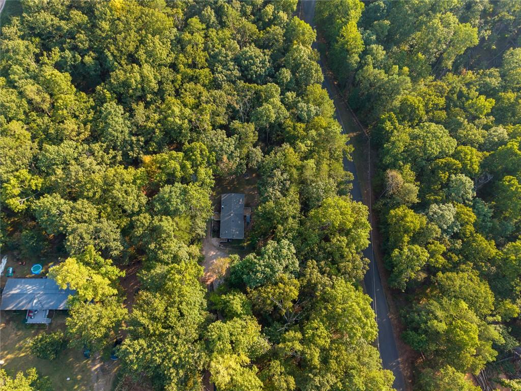 81 Cherokee Trail