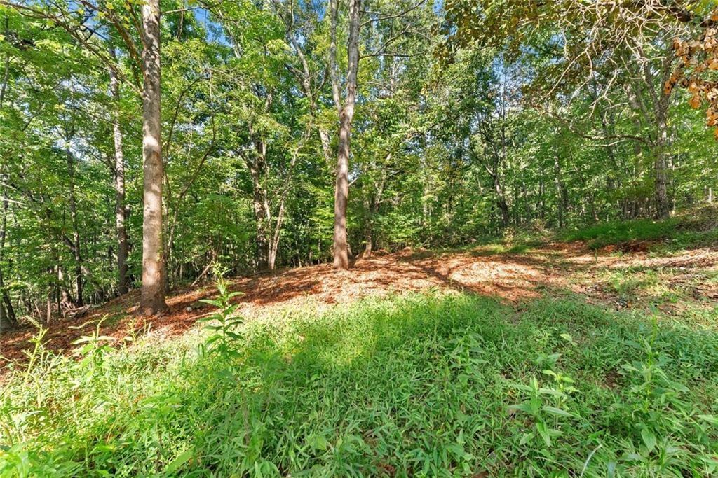 375 Mountain Crest Drive