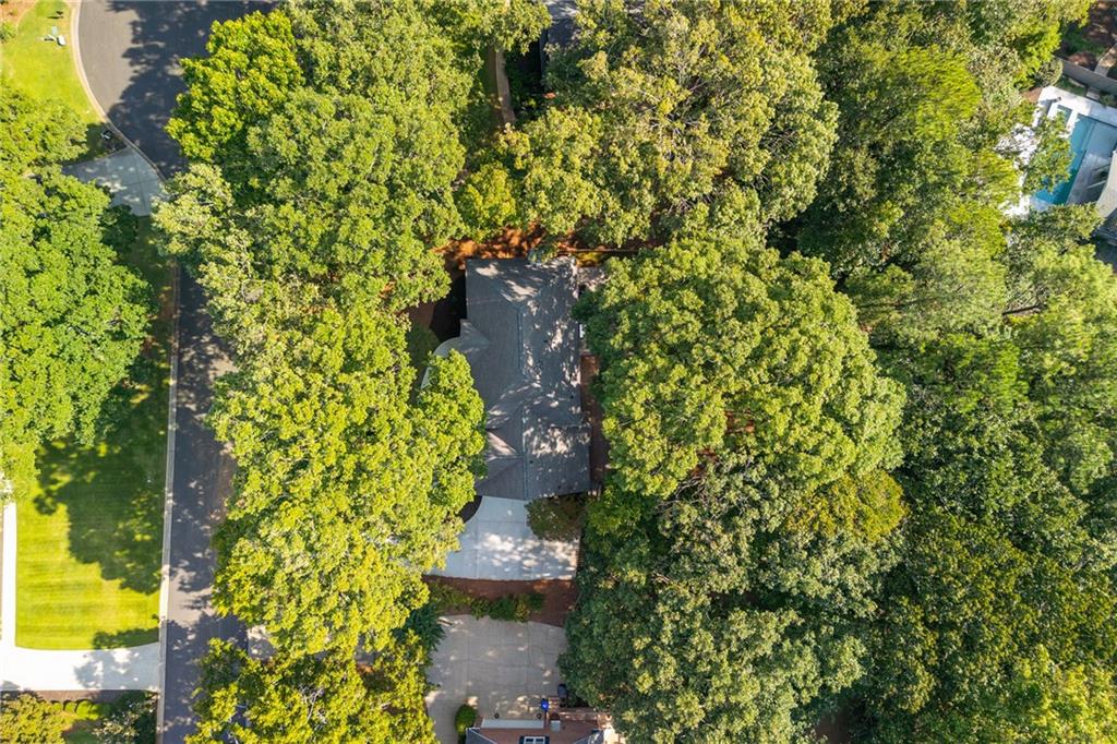 Aerial view of a tree-covered home with its roof and driveway visible.