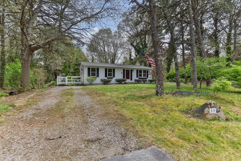 37 Willington Ave