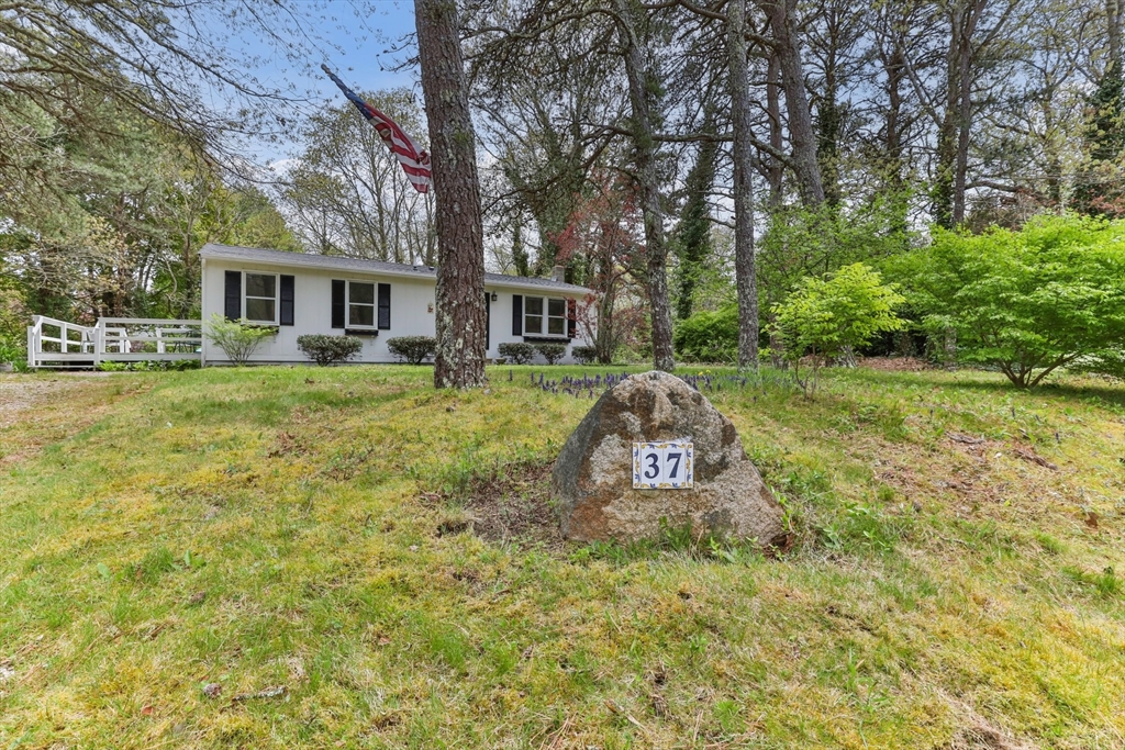 37 Willington Ave