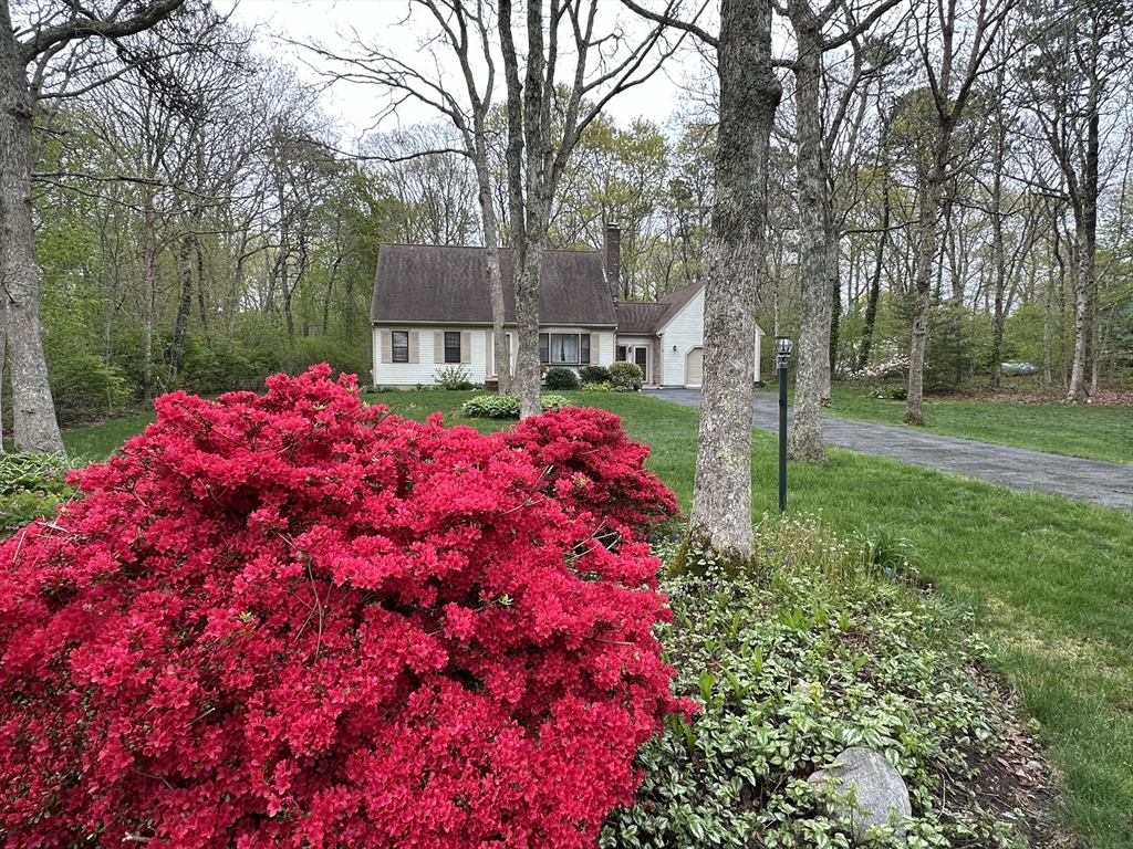 10 Little Acorn Ln