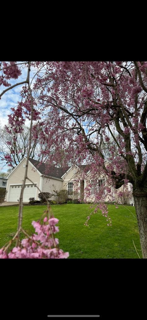 8825 Maplewood Drive