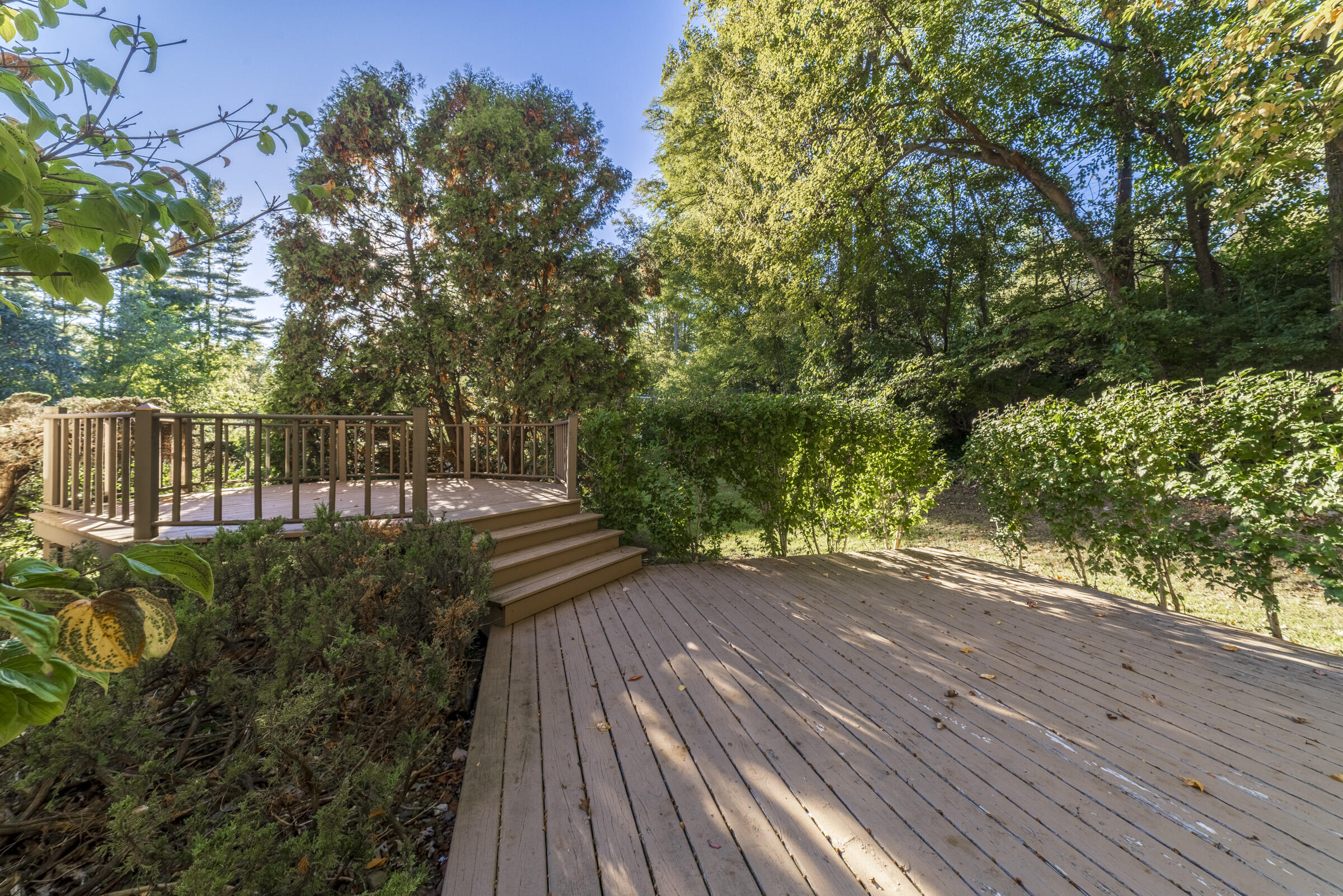 3004 White Oaks Lane