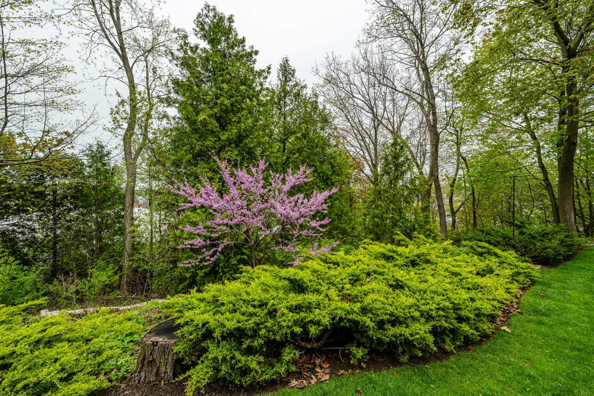 1421 Newberry Hills Lane, St. Joseph