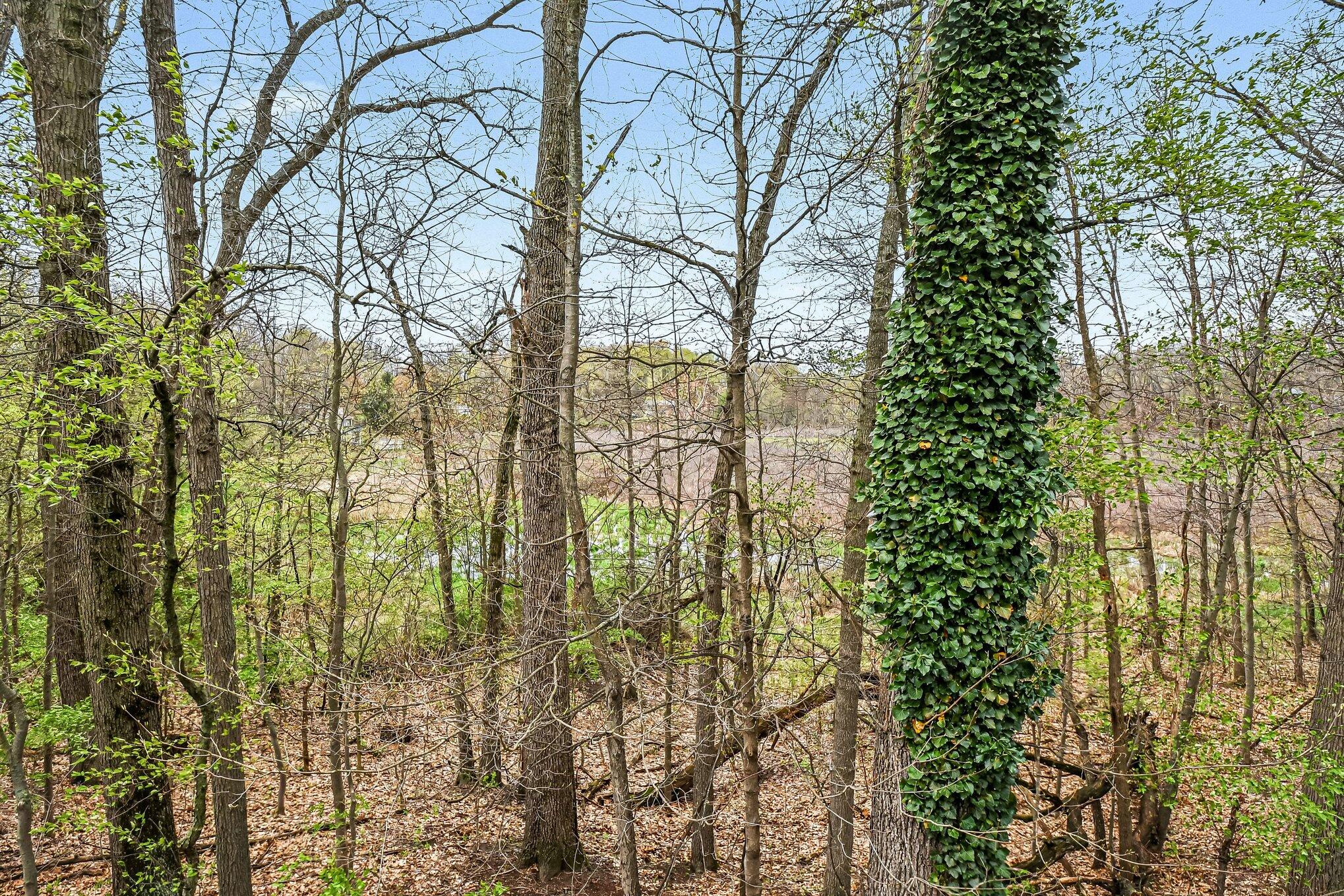 11294 Bridlewood Trail