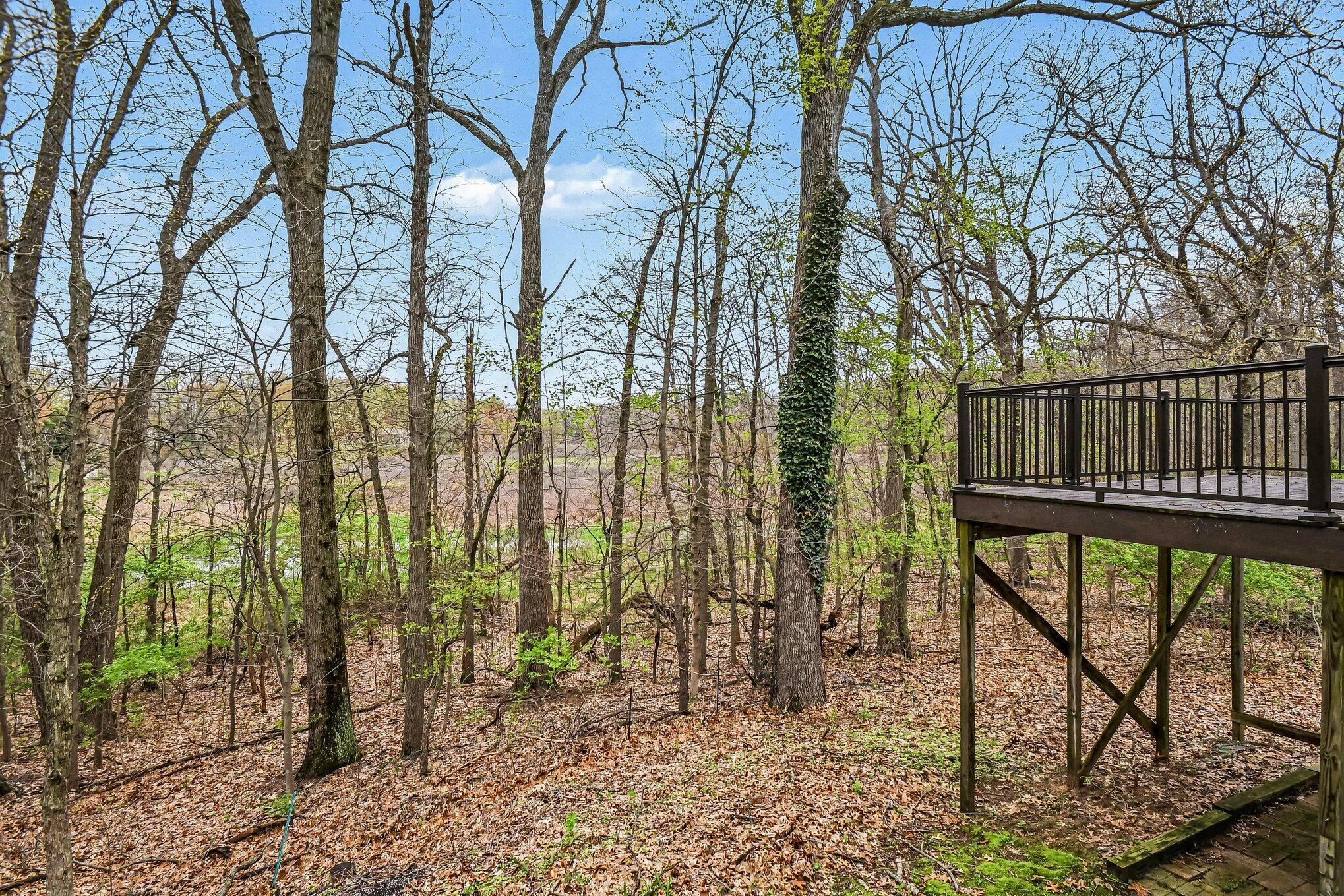 11294 Bridlewood Trail