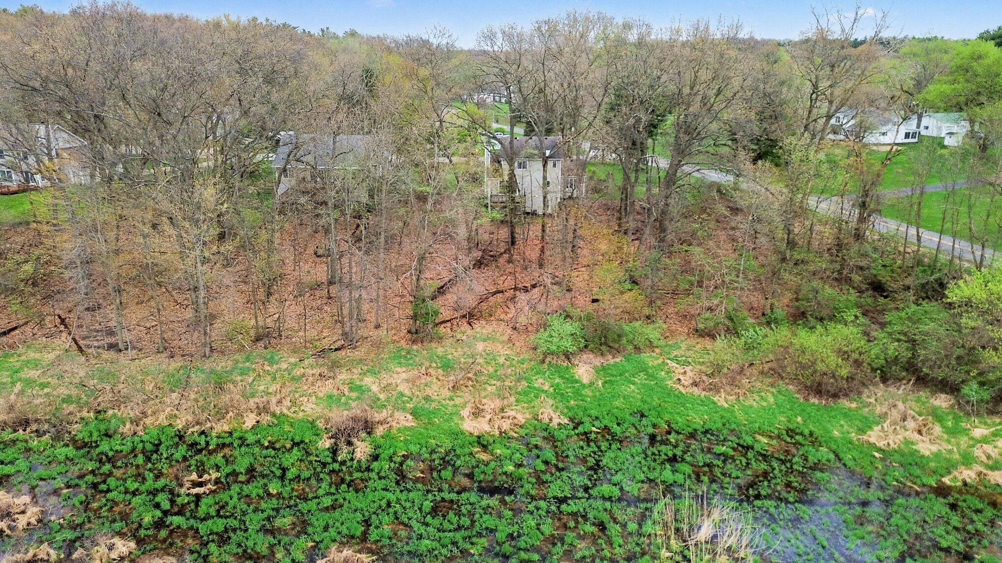 11294 Bridlewood Trail