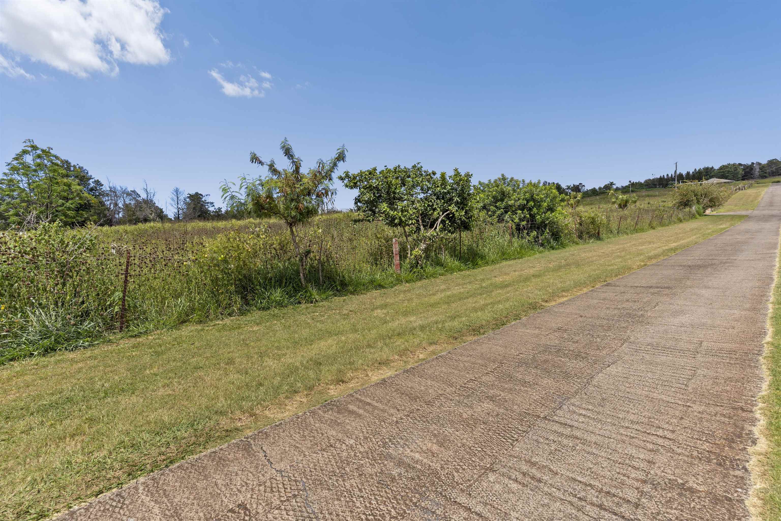 21 Noholoa Pl Unit: #2 and #3