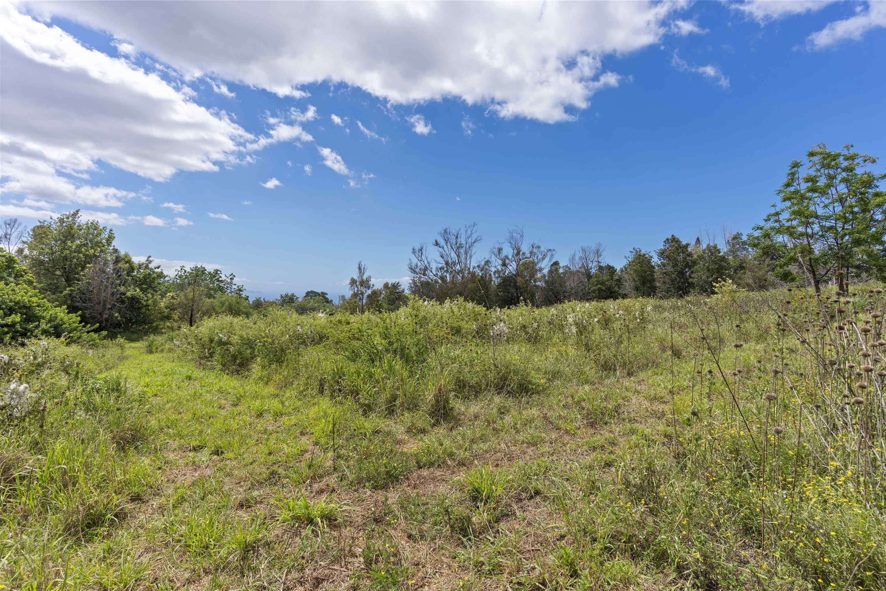 21 Noholoa Pl Unit: #2 and #3