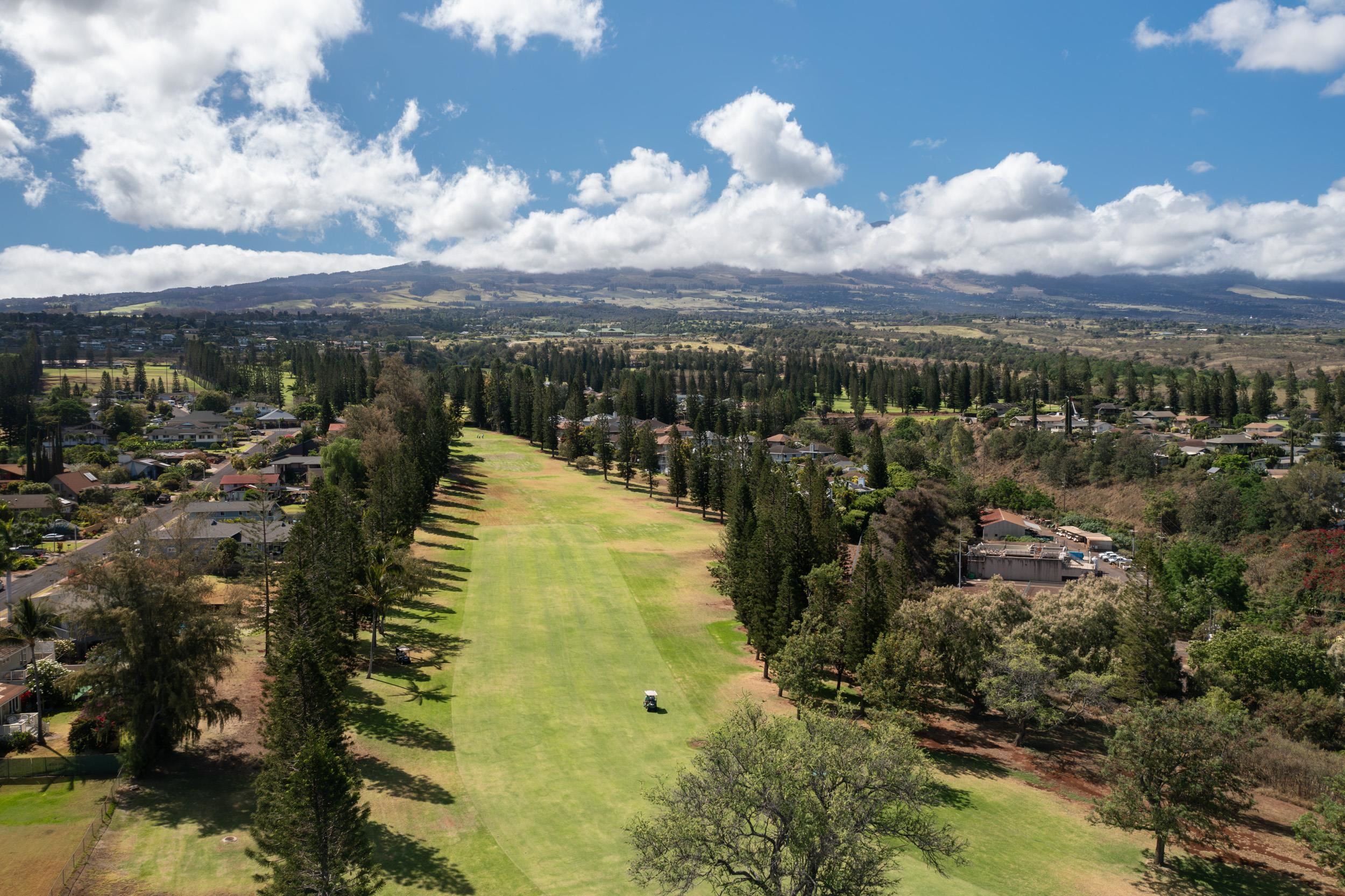 2689 Palalani Pl