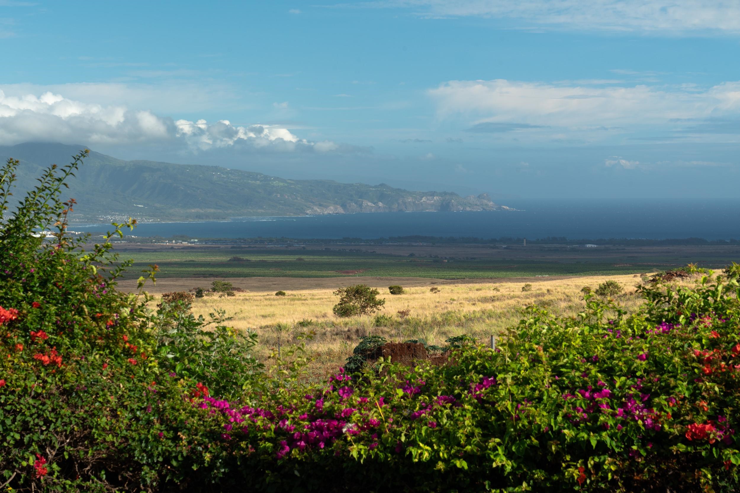 2689 Palalani Pl