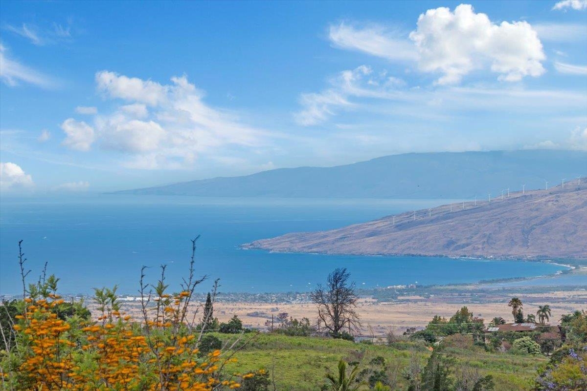 40 Kapalulu Pl
