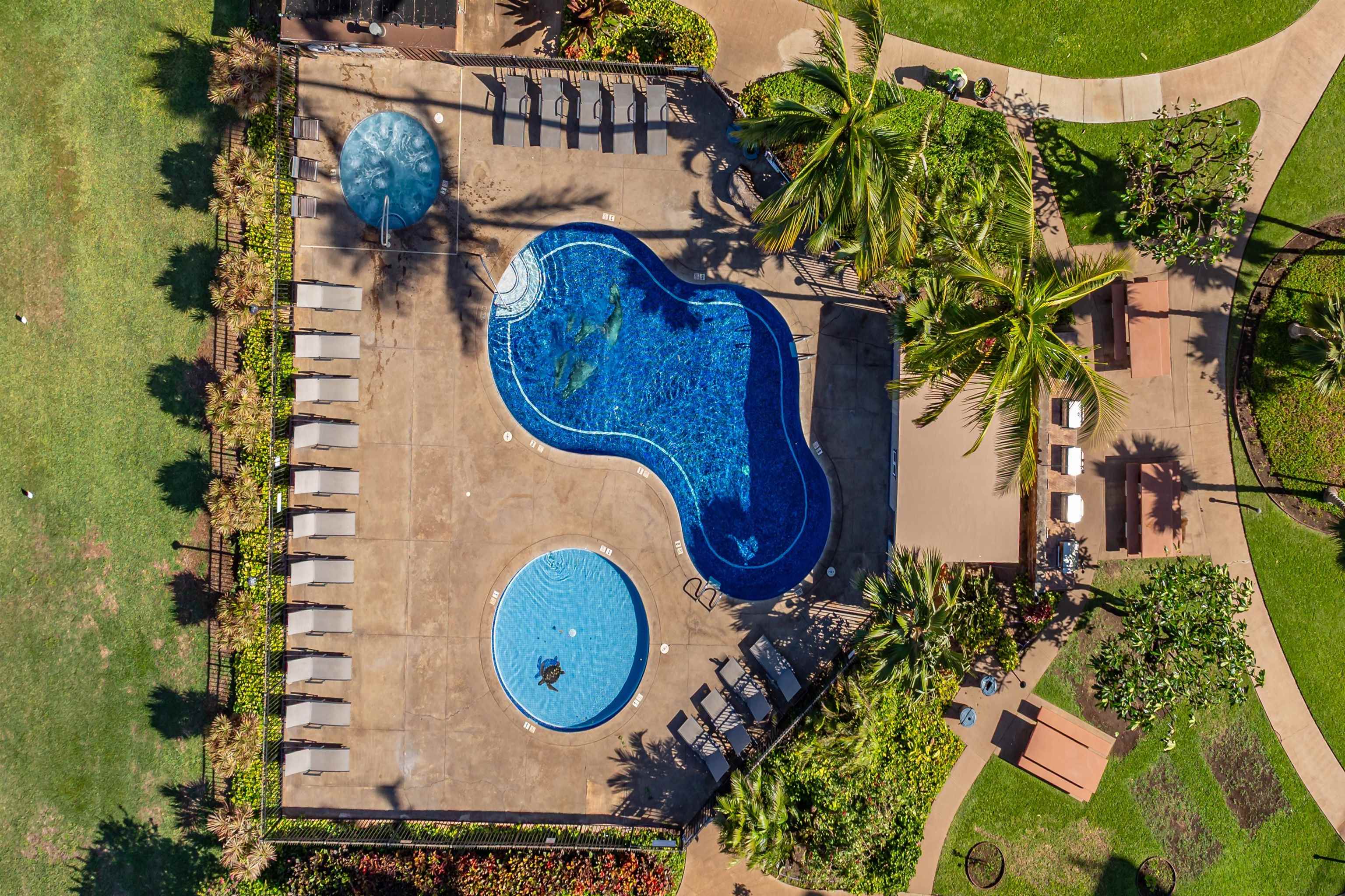 938 S Kihei Rd Unit: 533