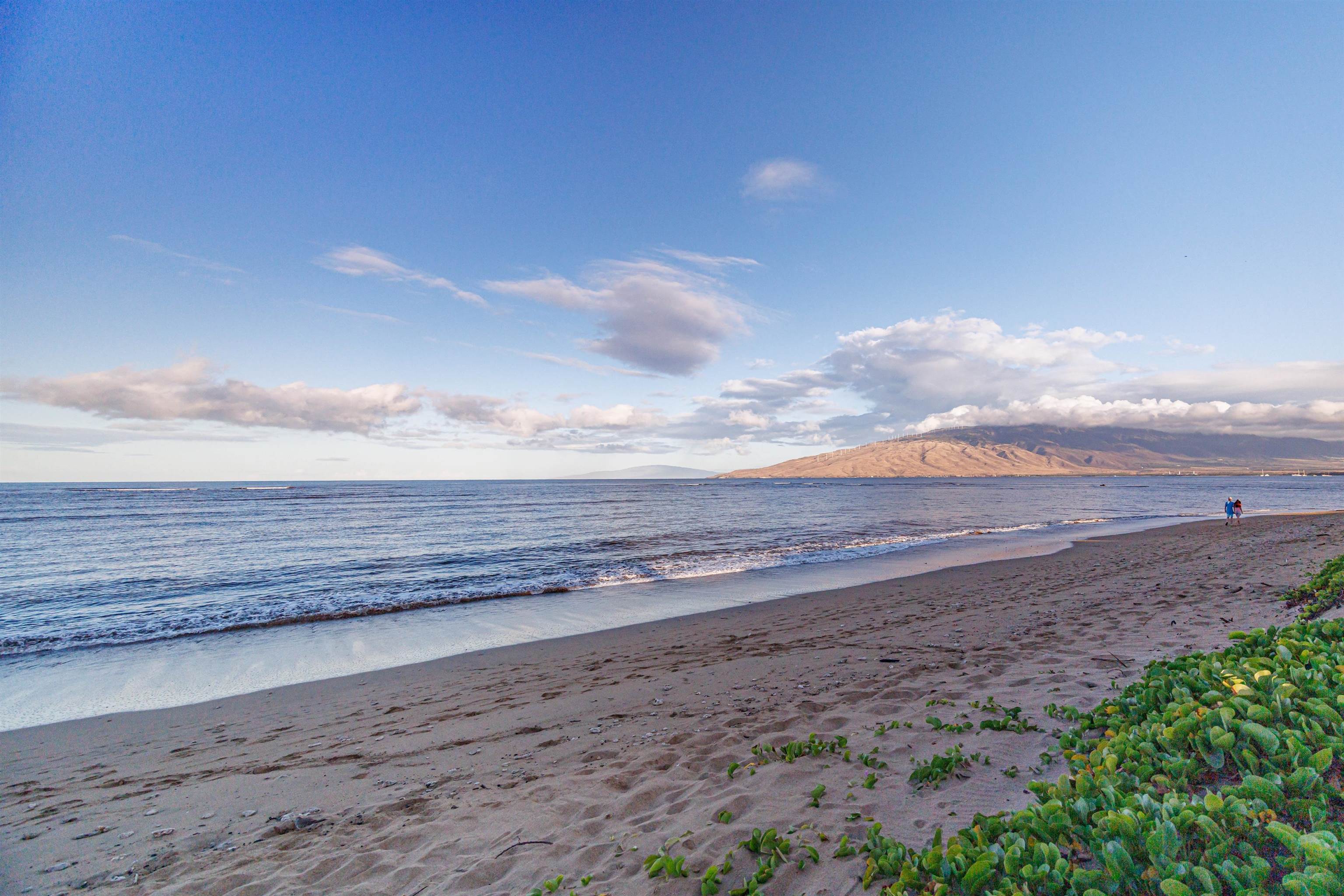 938 S Kihei Rd Unit: 533