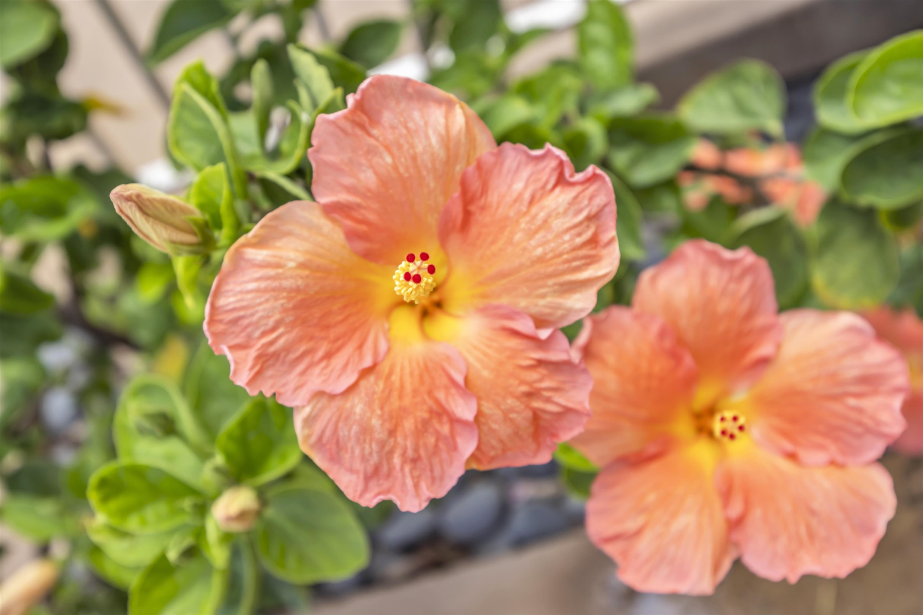 760 S Kihei Rd Unit: 419