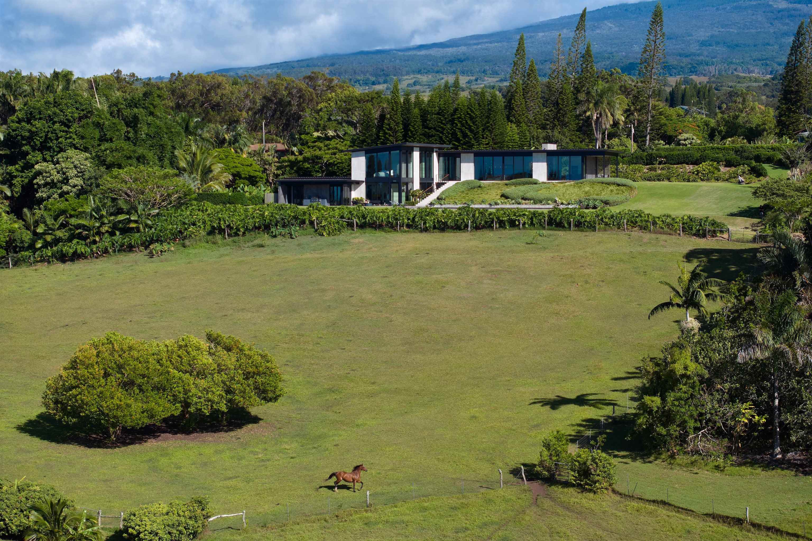 1642 W Kuiaha Rd