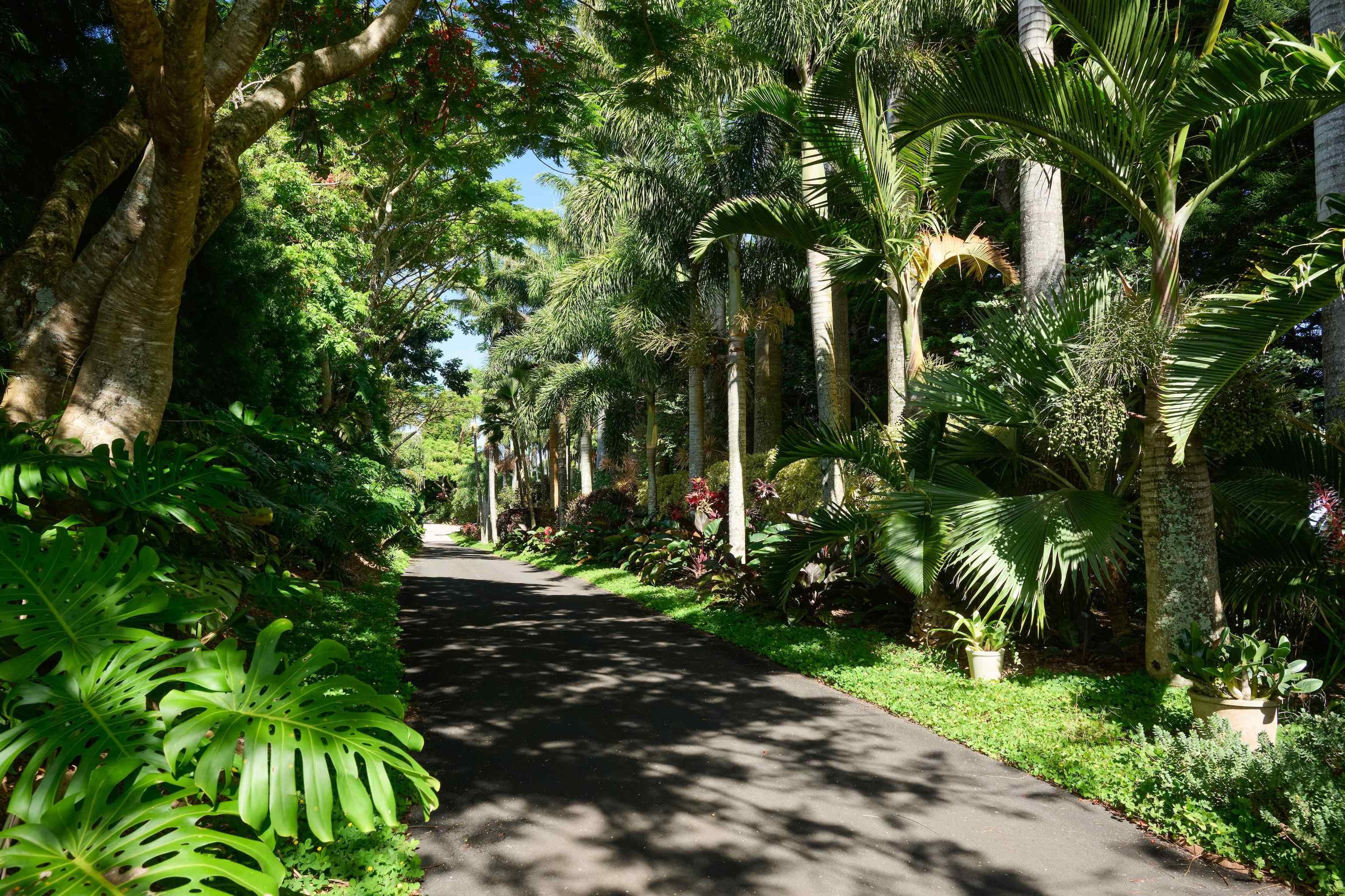 1642 W Kuiaha Rd