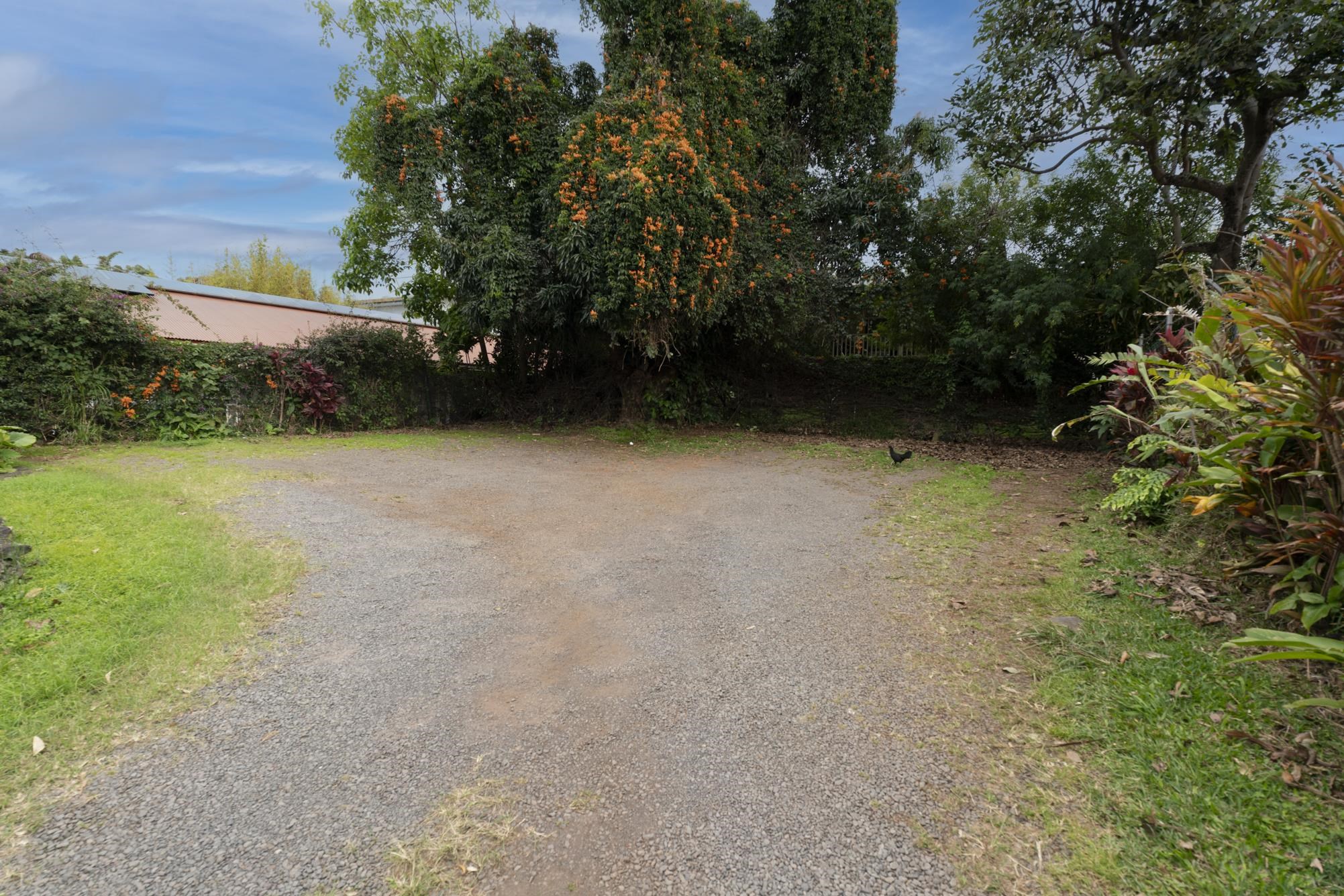 1160 Makawao Ave