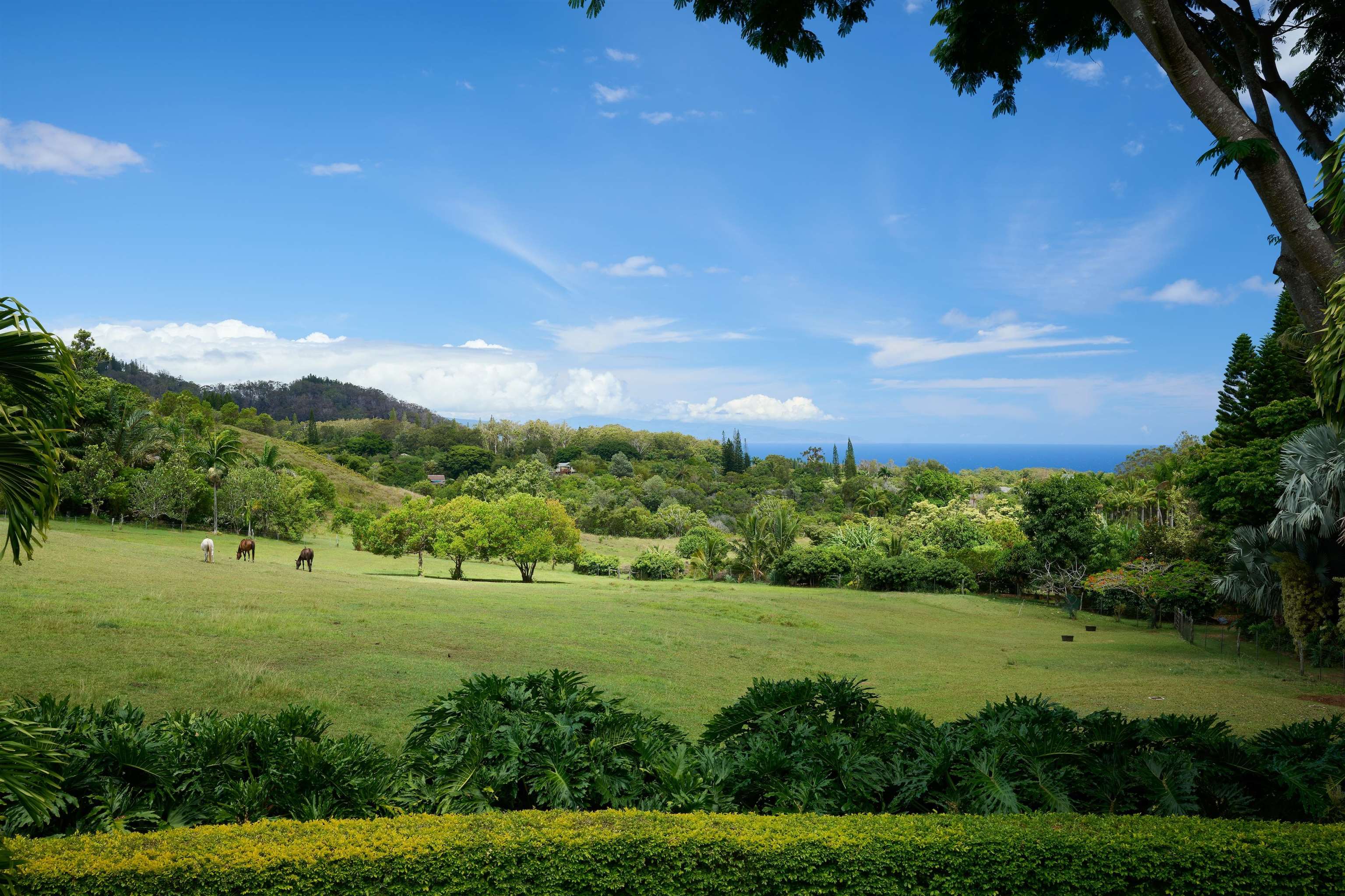 1642 W Kuiaha Rd