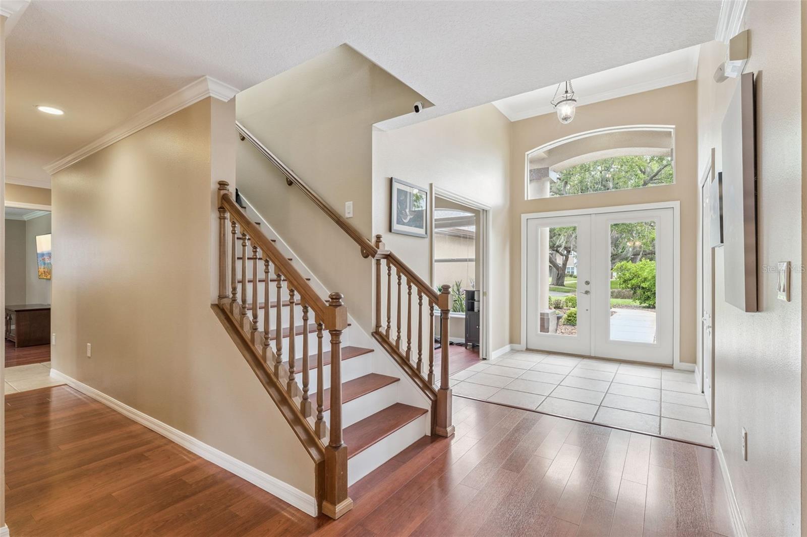 5203 HAMMOCK POINTE CT