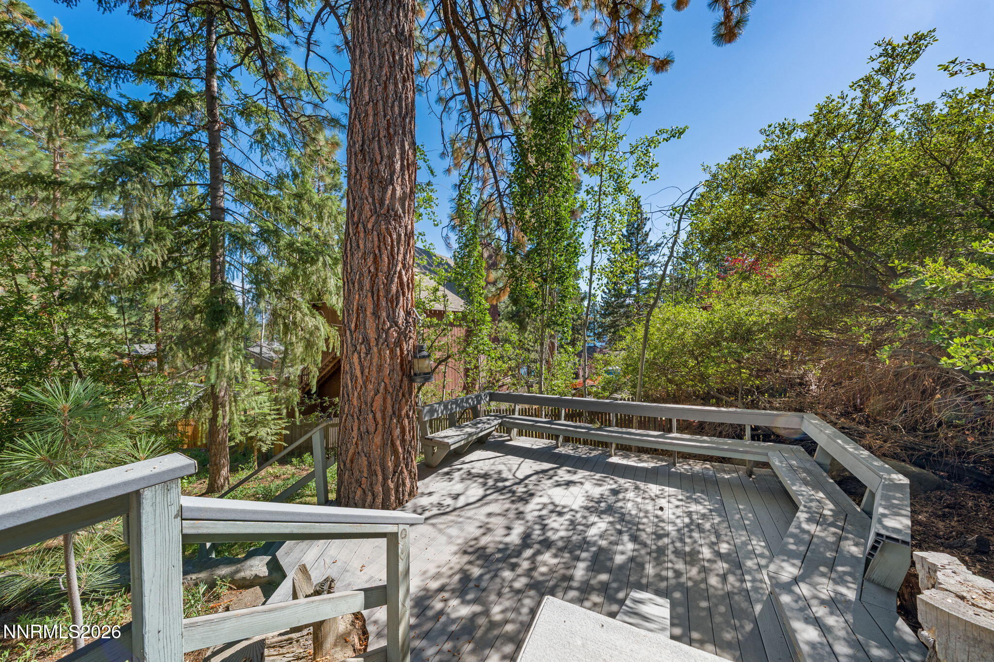 652 Freel Drive