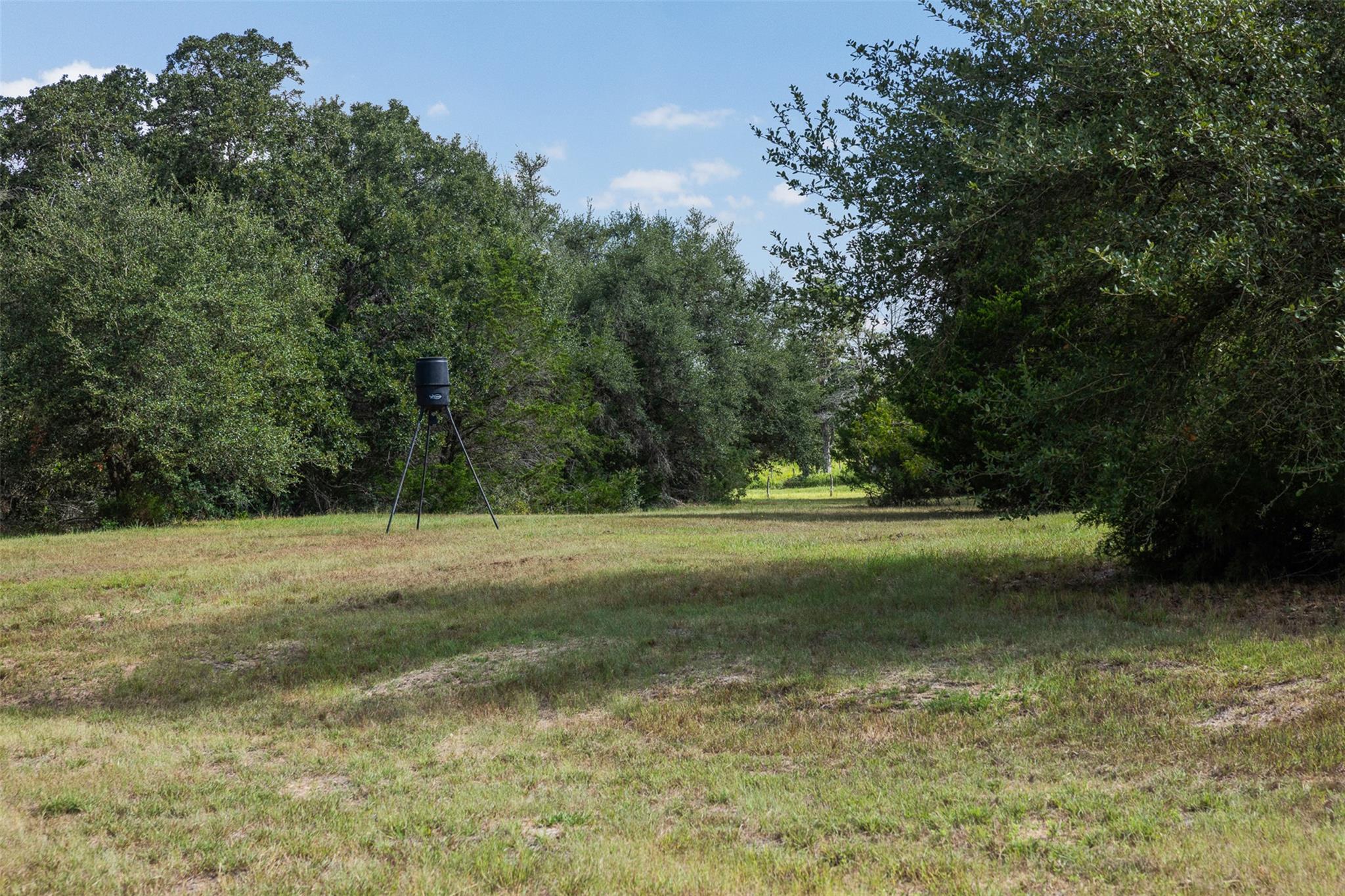3555 County Road 430