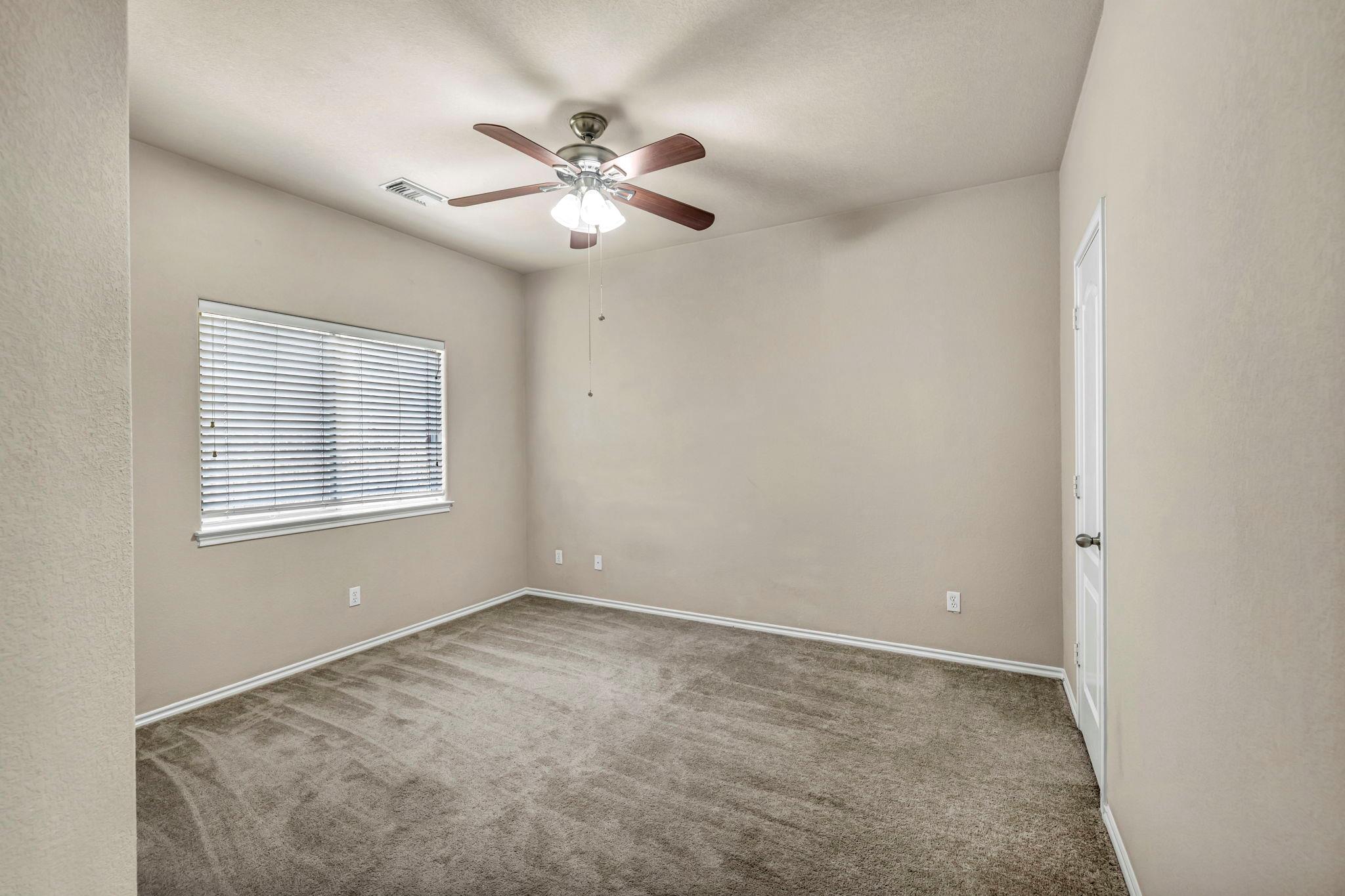 3748 Pine Needle CIR