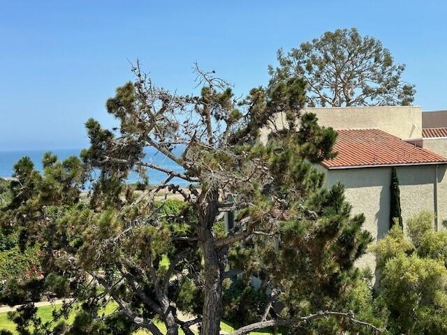 97 Seaview Drive