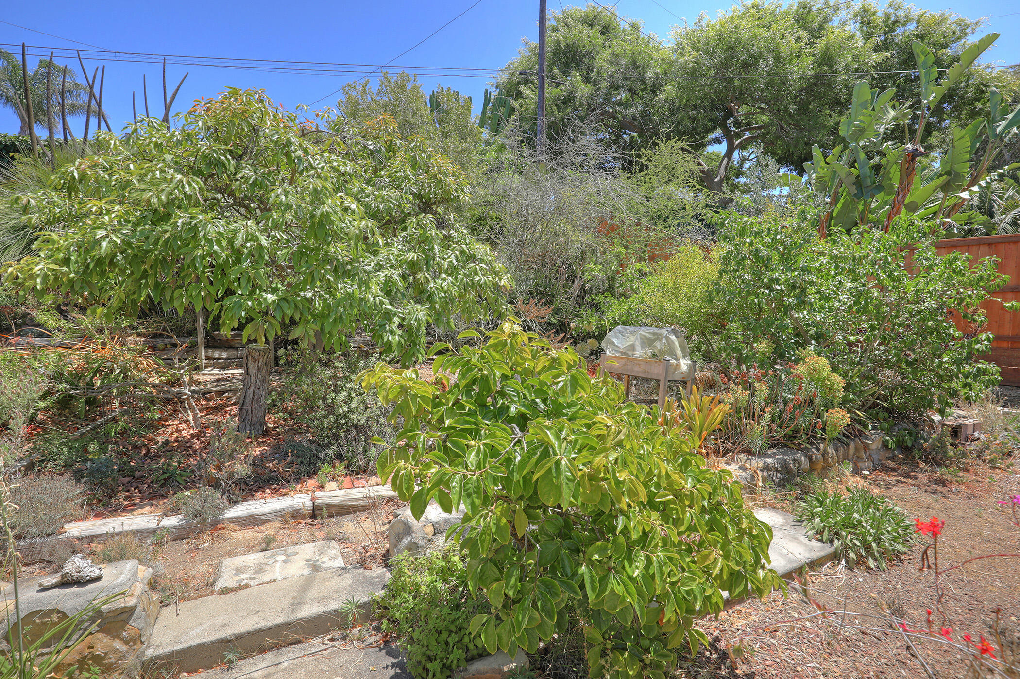 7234 Tuolumne Drive