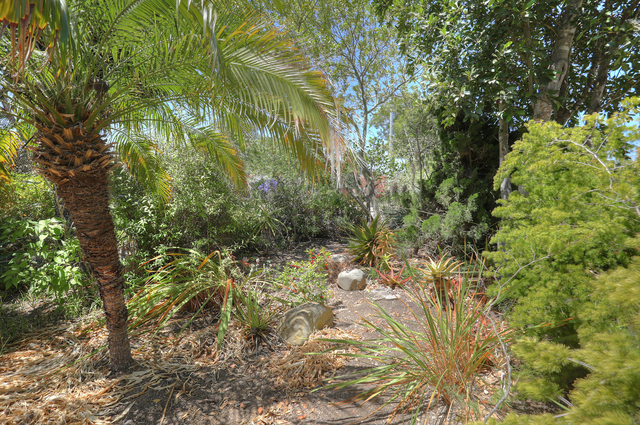 7234 Tuolumne Drive