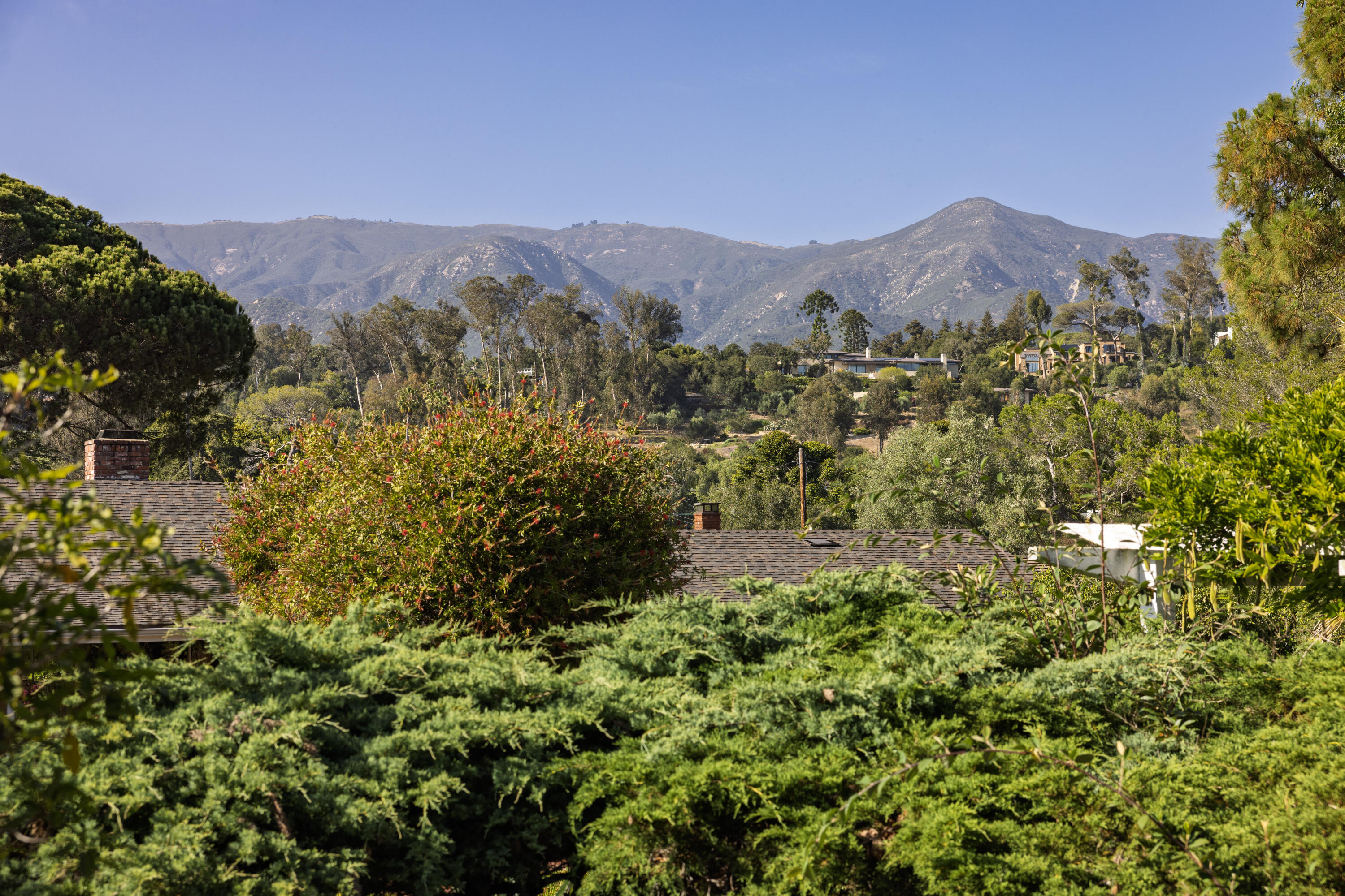 733 Woodland Drive