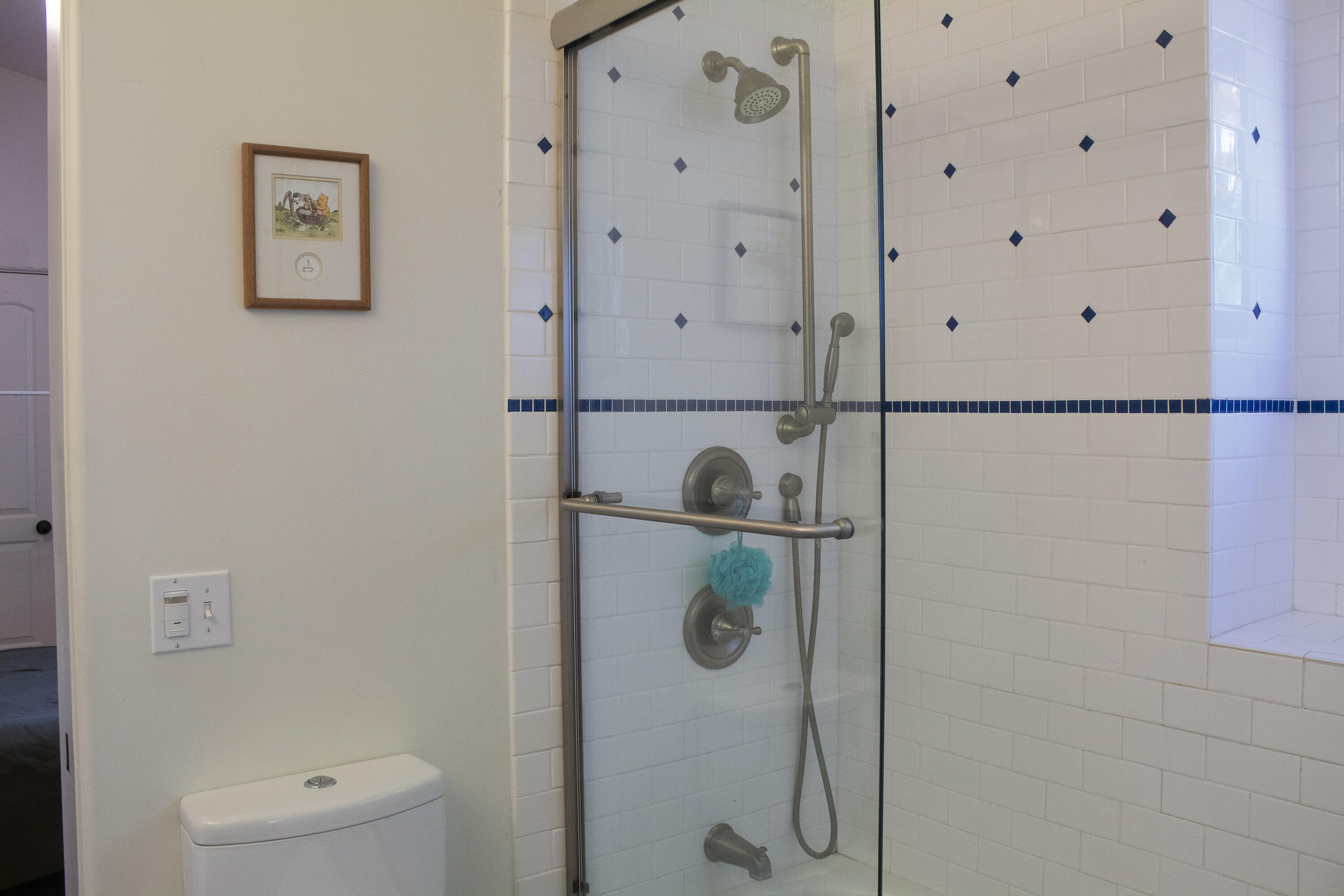 Bathroom shower with glass enclosure, white tile, navy-blue accents, and brushed-metal fixtures.