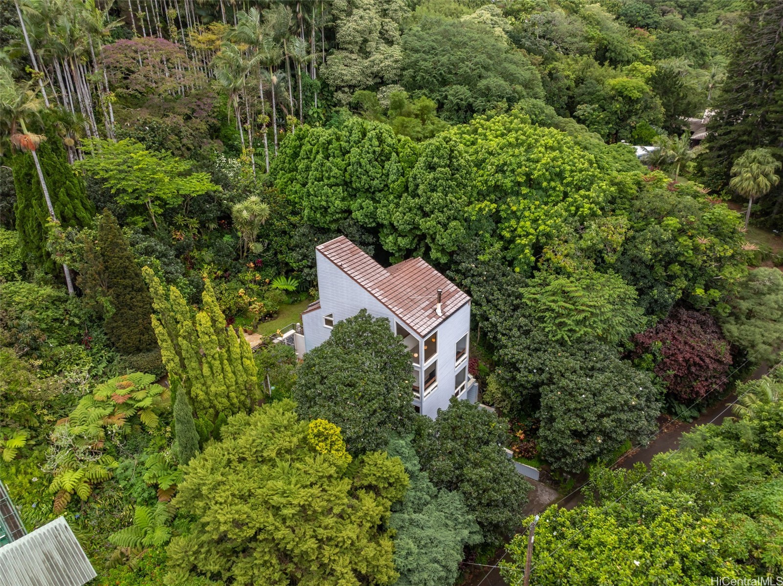 156 Forest Ridge Way