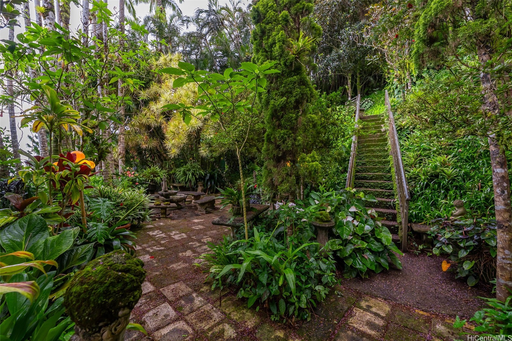 156 Forest Ridge Way