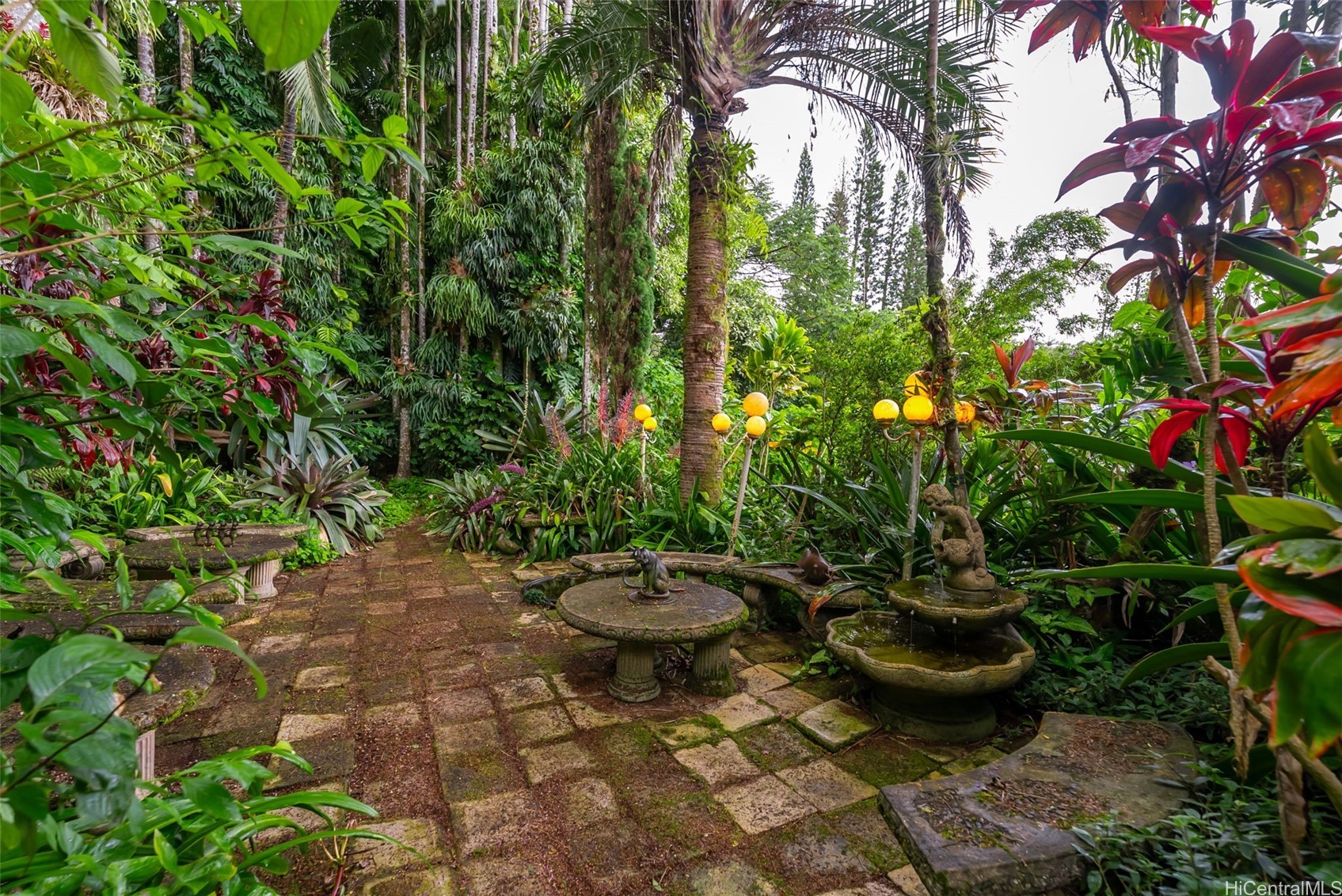 156 Forest Ridge Way