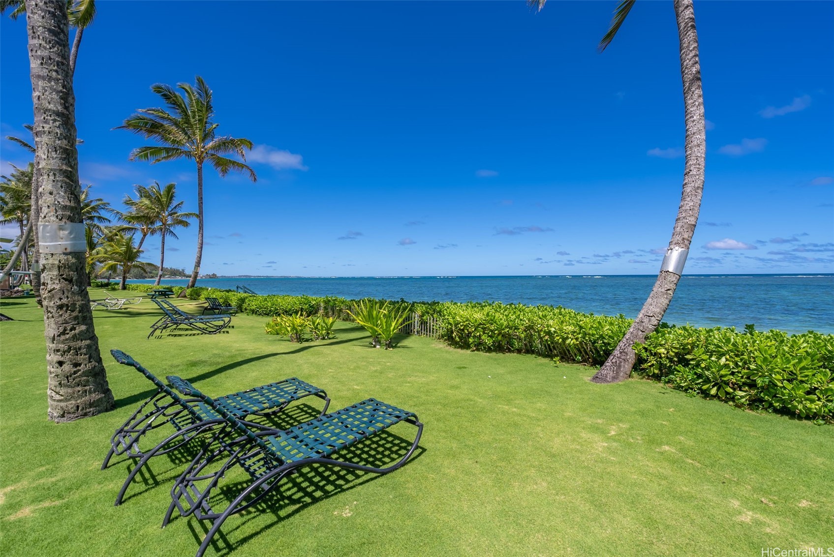53-567 Kamehameha Highway 616