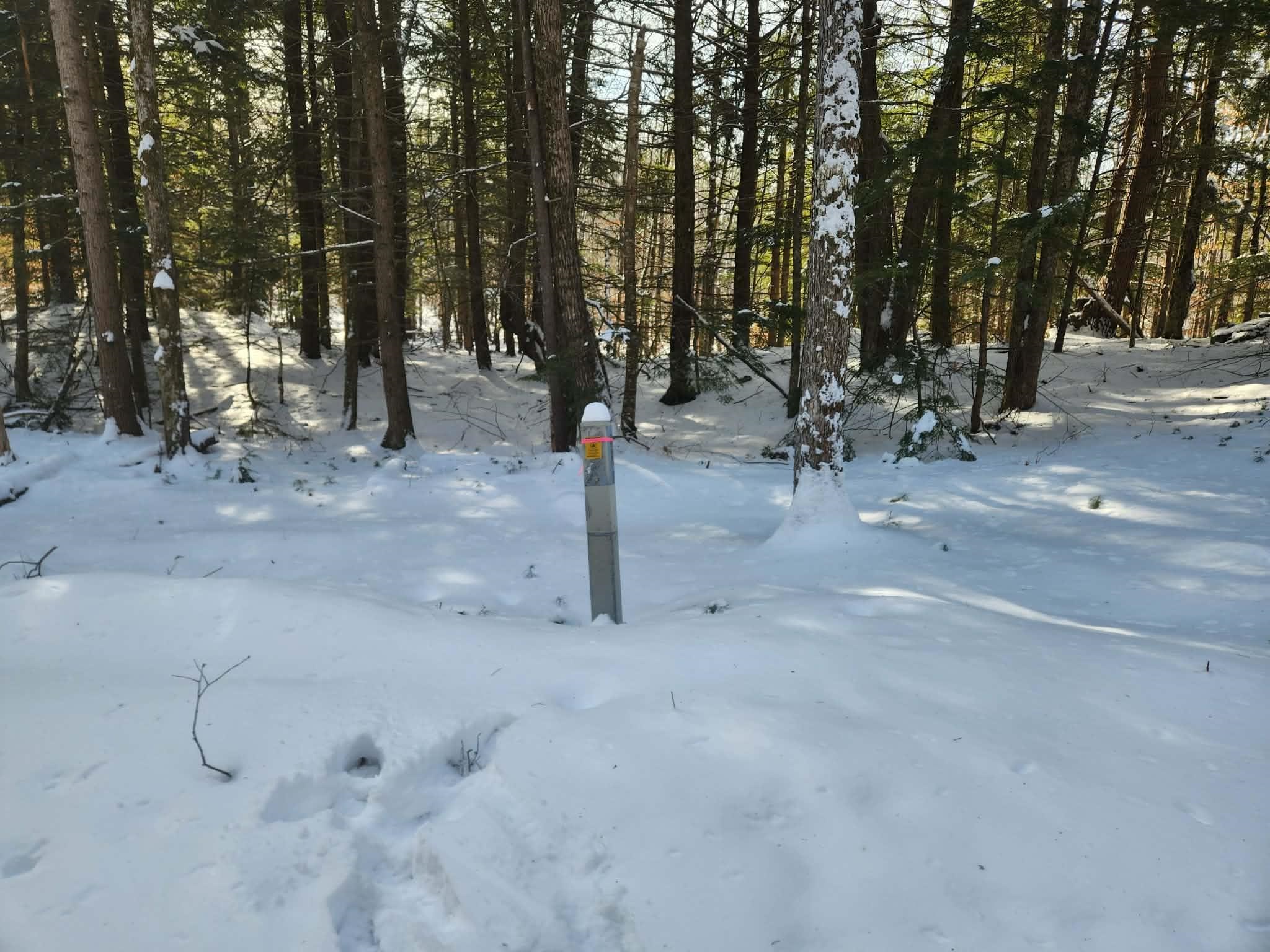 10 cedar Drive Unit: 130-lot 10
