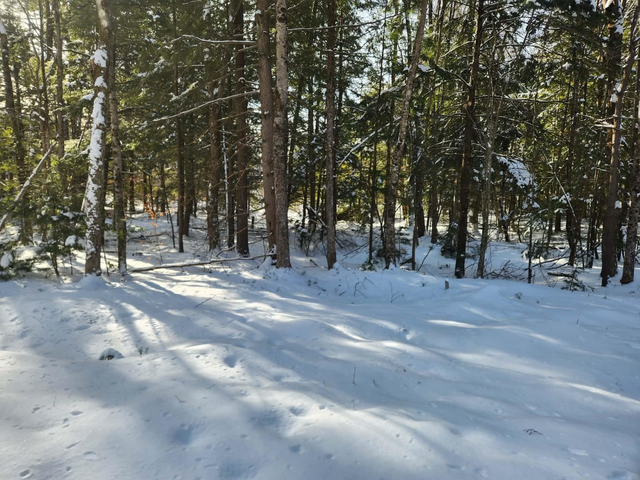 10 cedar Drive Unit: 130-lot 10
