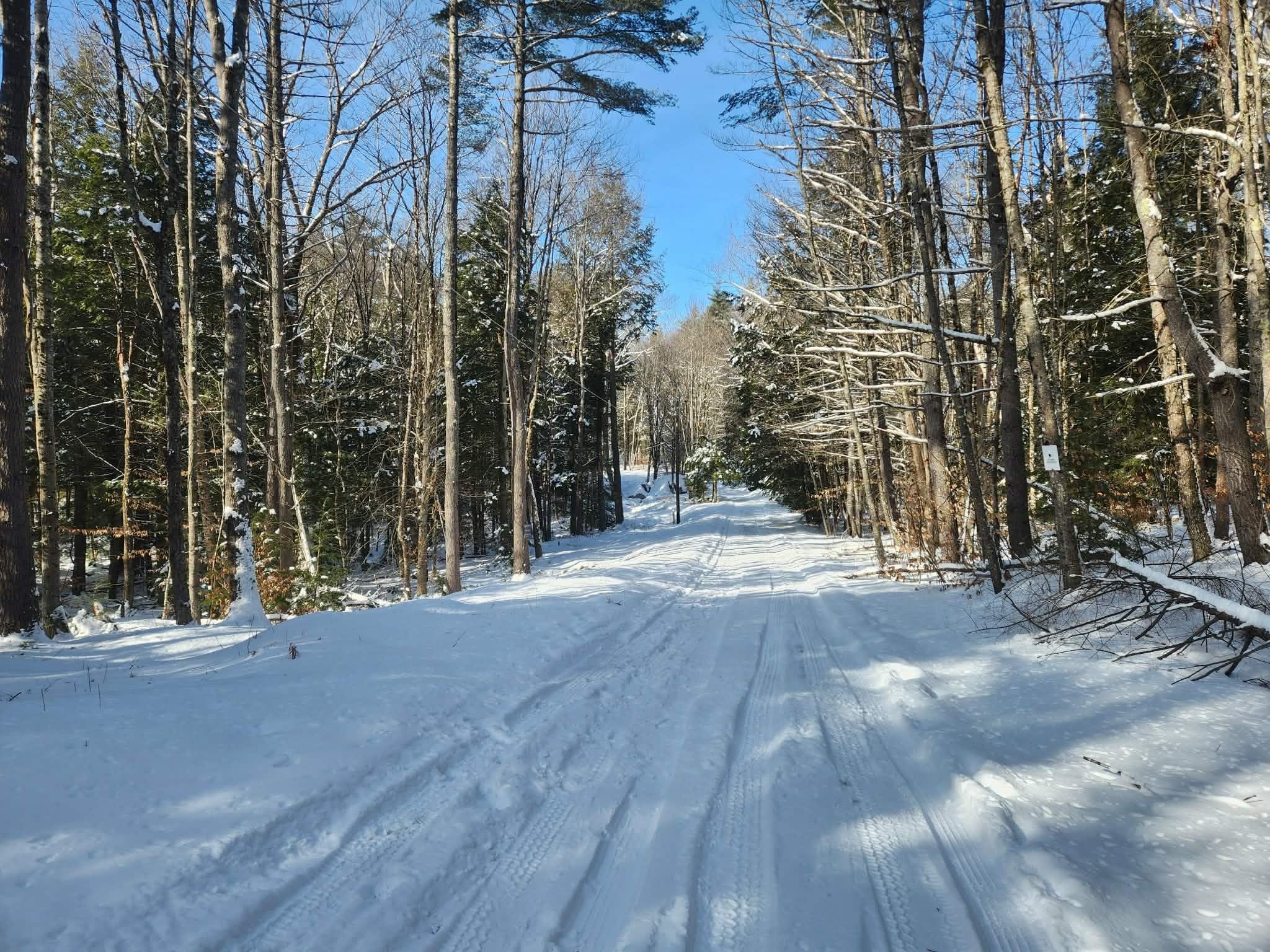 10 cedar Drive Unit: 130-lot 10