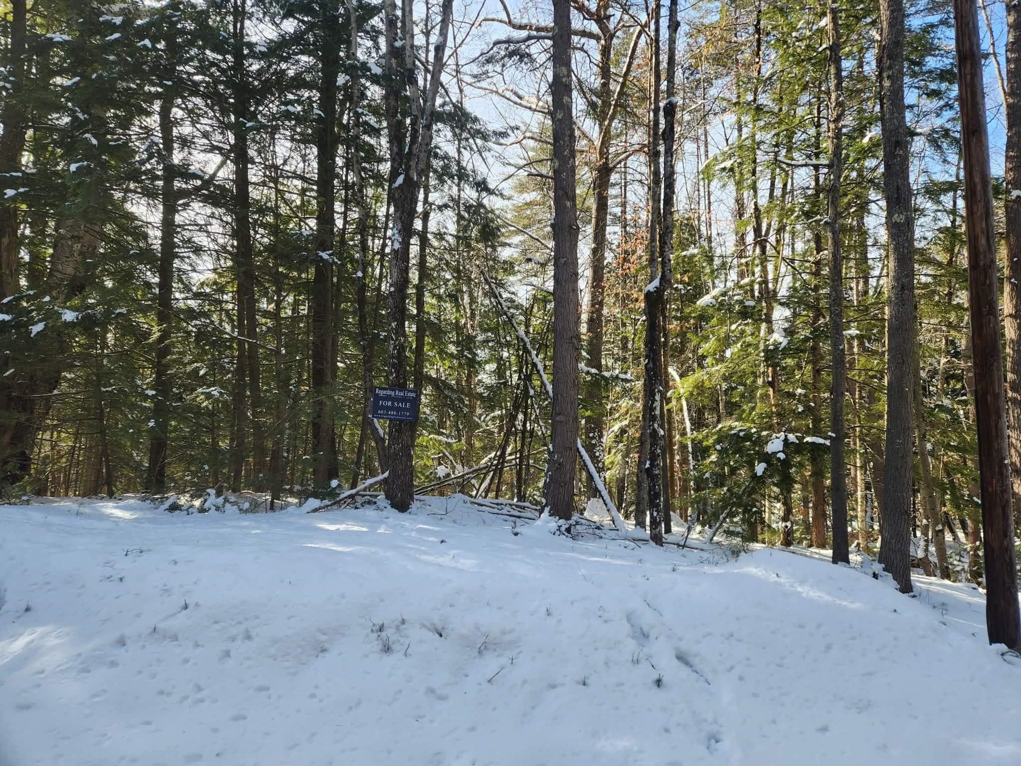 10 cedar Drive Unit: 130-lot 10