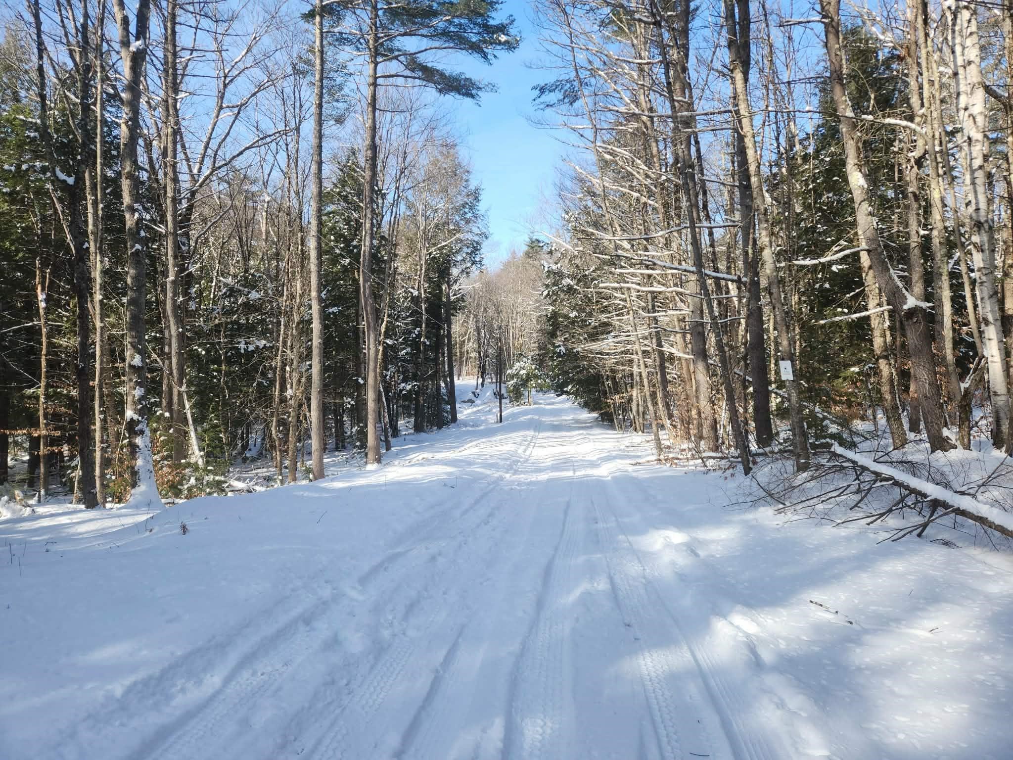 10 cedar Drive Unit: 130-lot 10