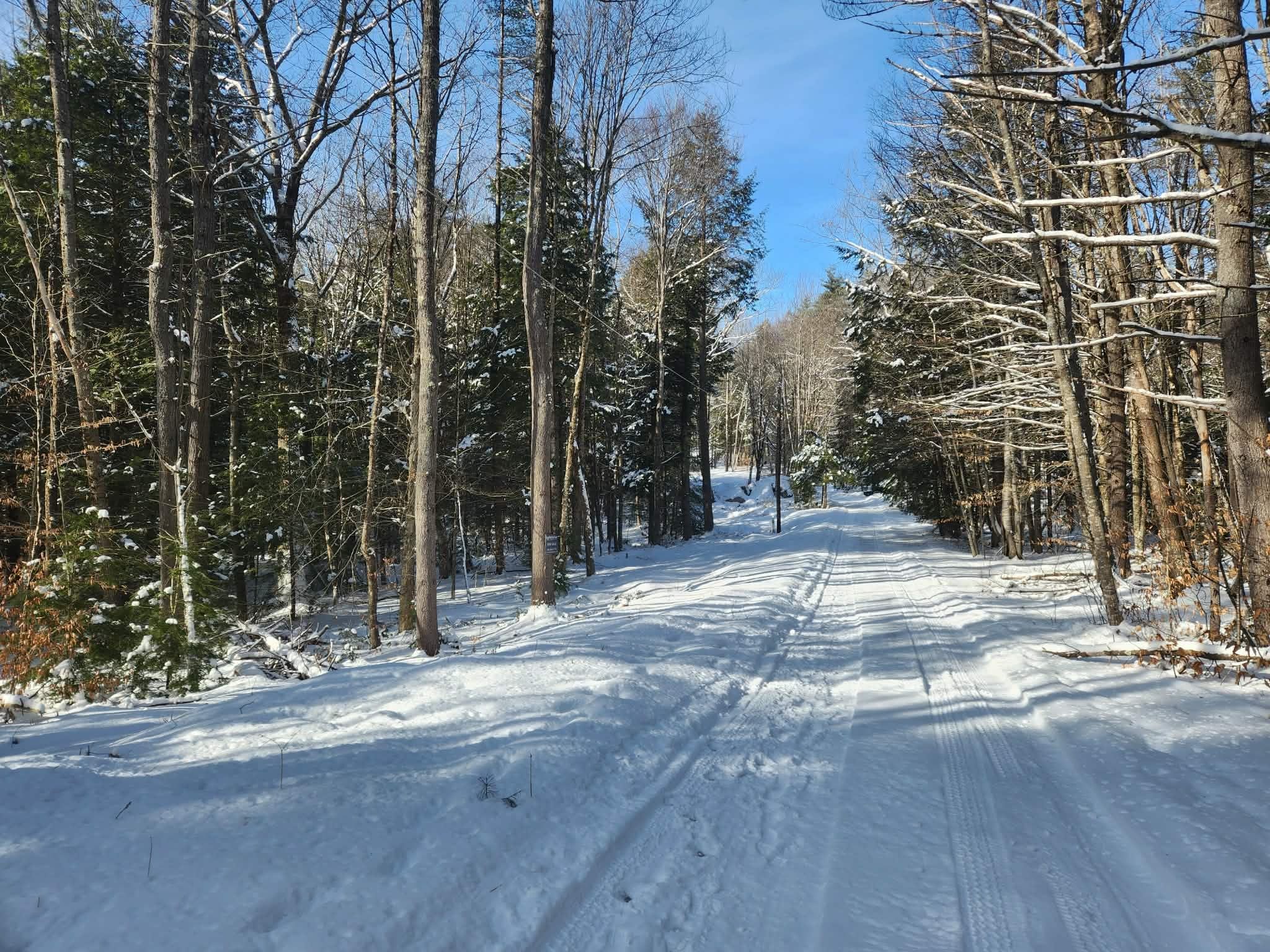10 cedar Drive Unit: 130-lot 10