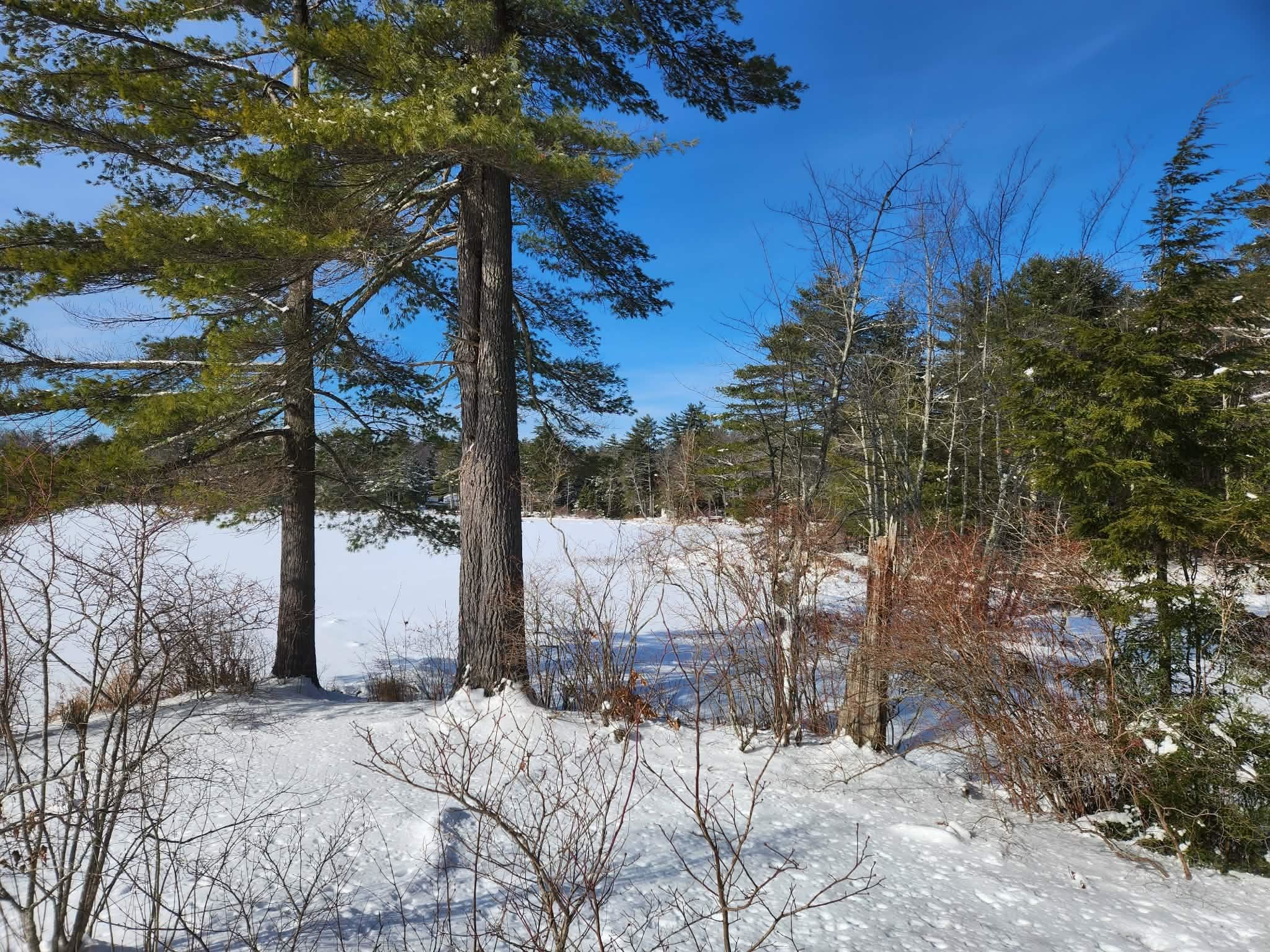 10 cedar Drive Unit: 130-lot 10