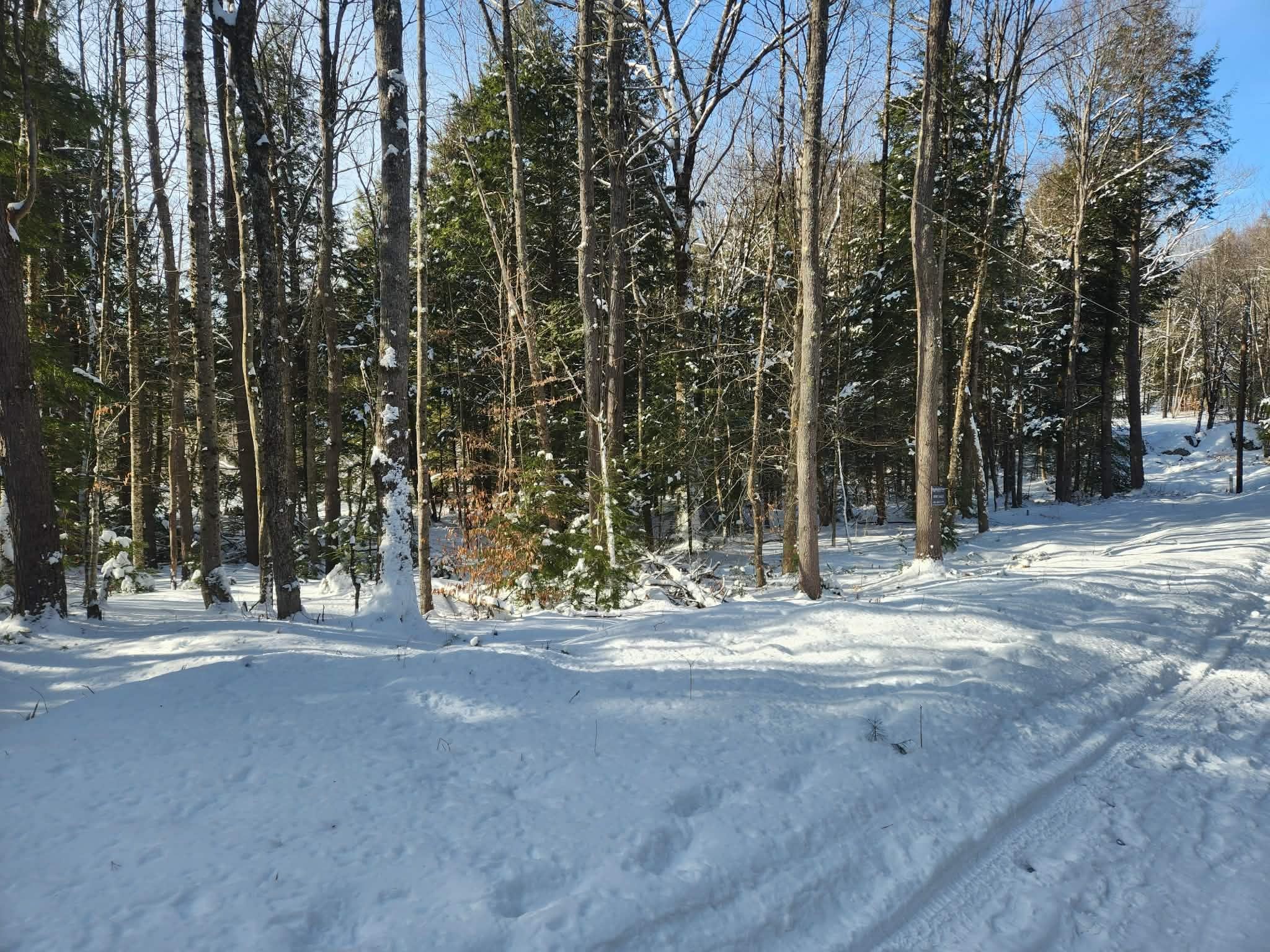 10 cedar Drive Unit: 130-lot 10